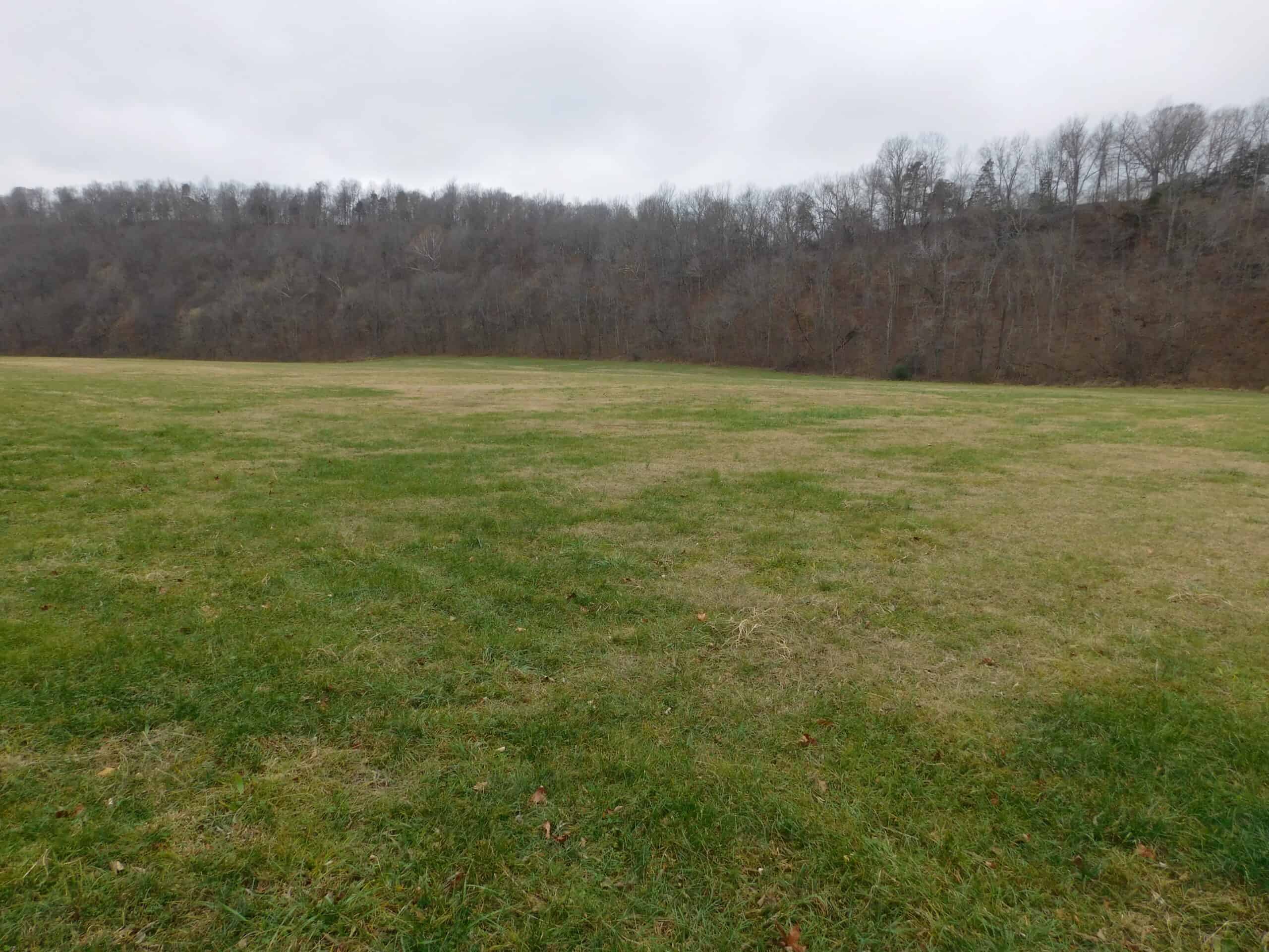 Creek Runs Through Farm Land/Deer Hunting Property in Newton County, Ar