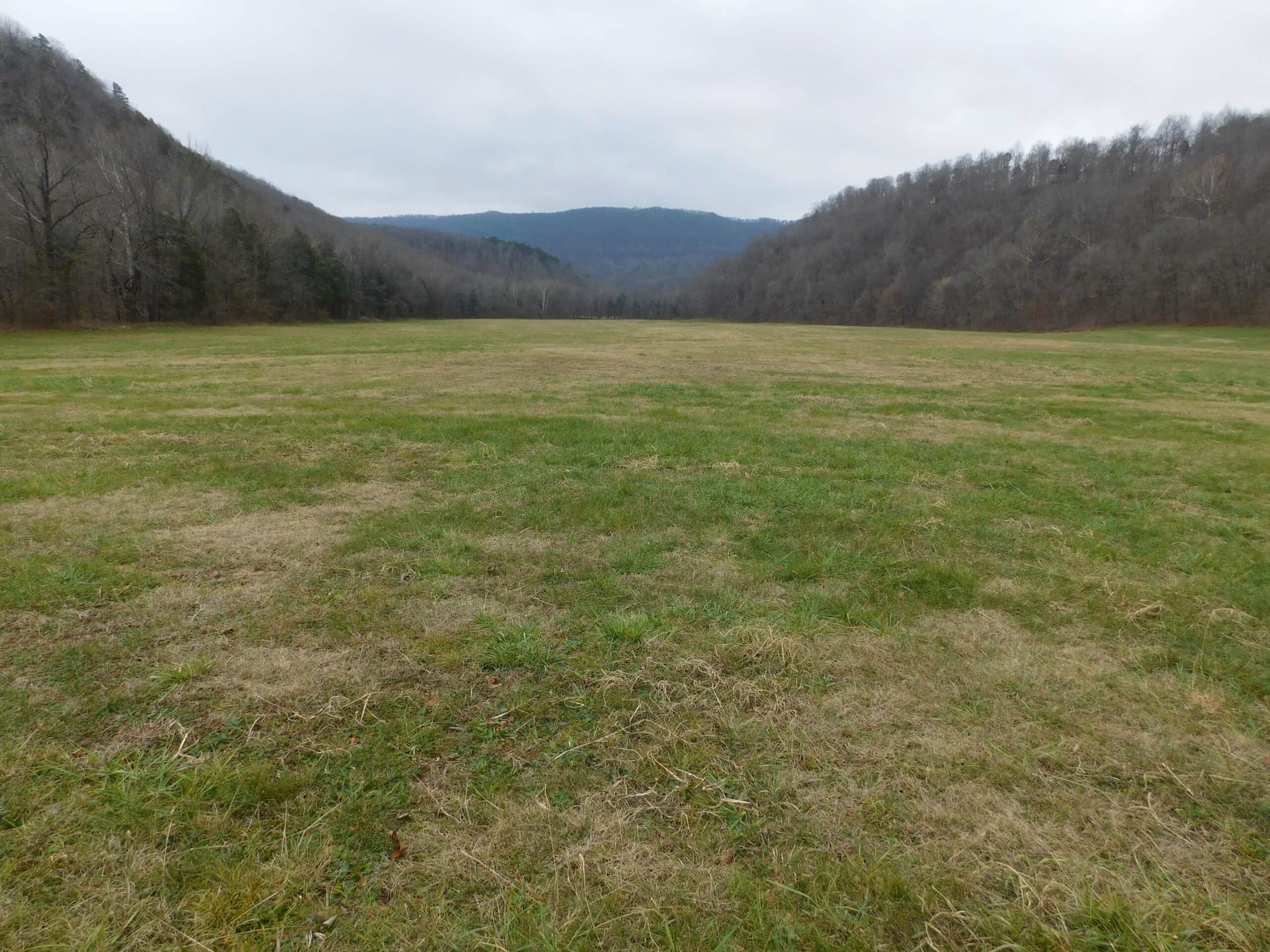 Creek Runs Through Farm Land/Deer Hunting Property in Newton County, Ar