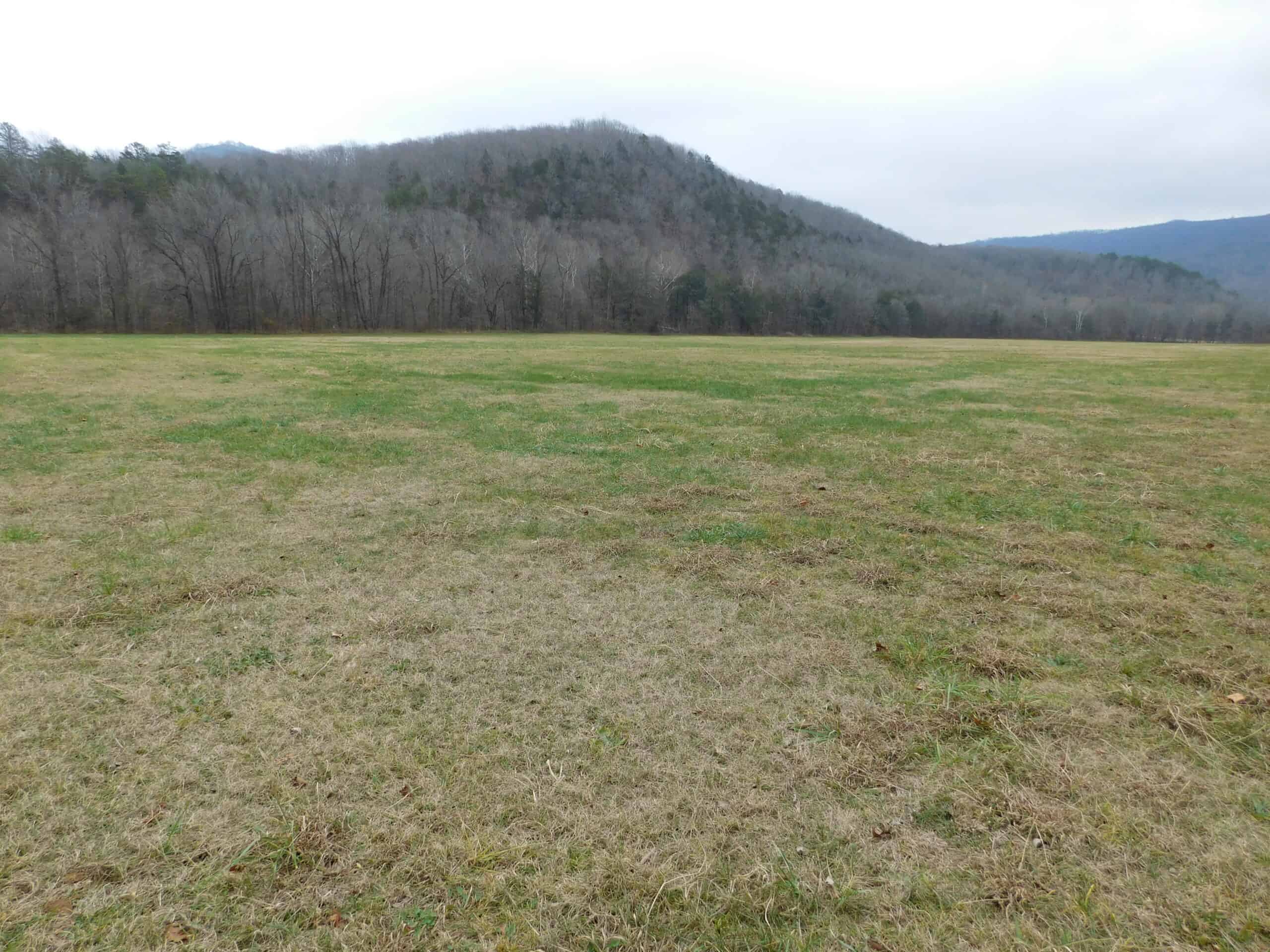 Creek Runs Through Farm Land/Deer Hunting Property in Newton County, Ar