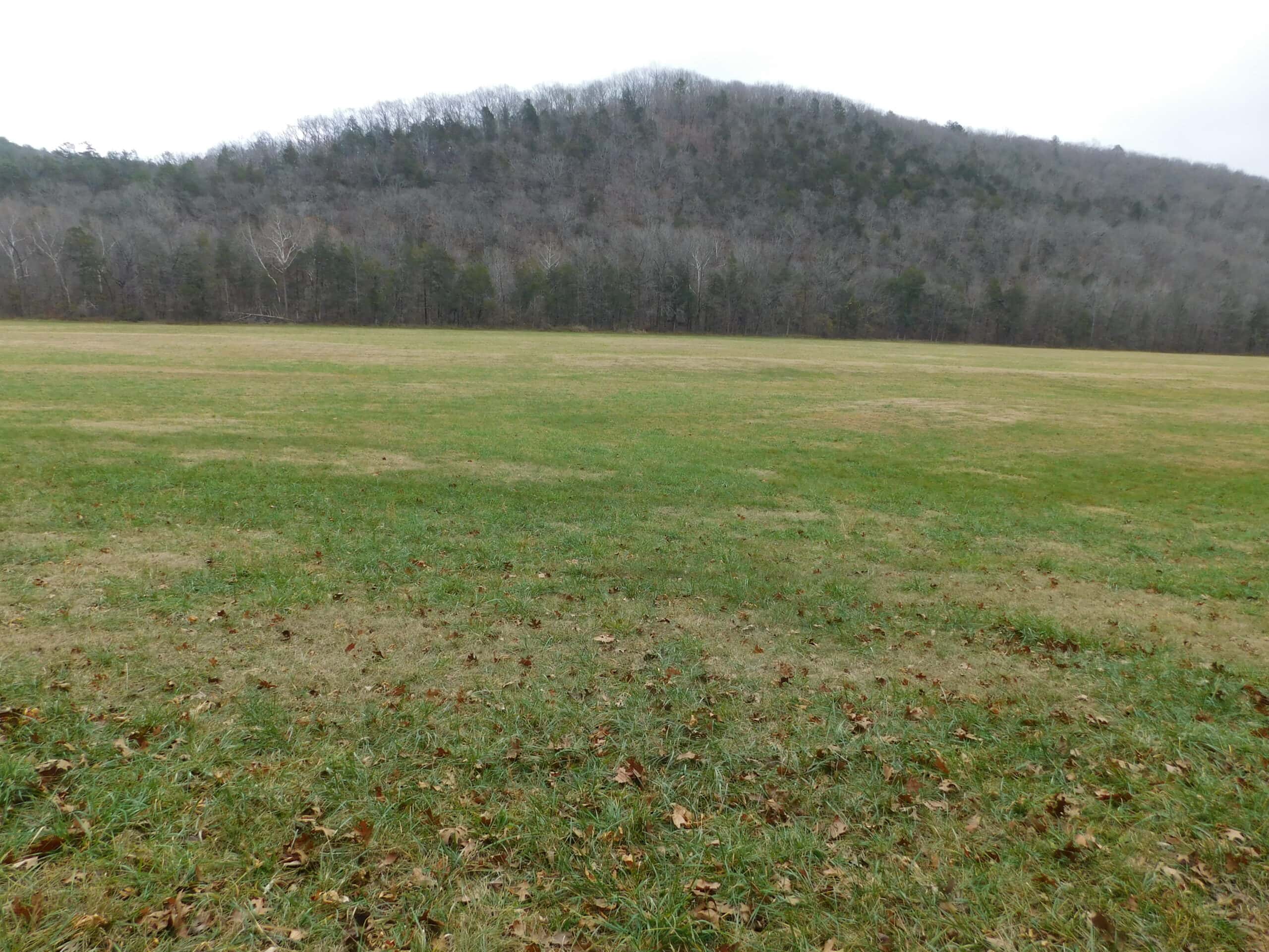 Creek Runs Through Farm Land/Deer Hunting Property in Newton County, Ar