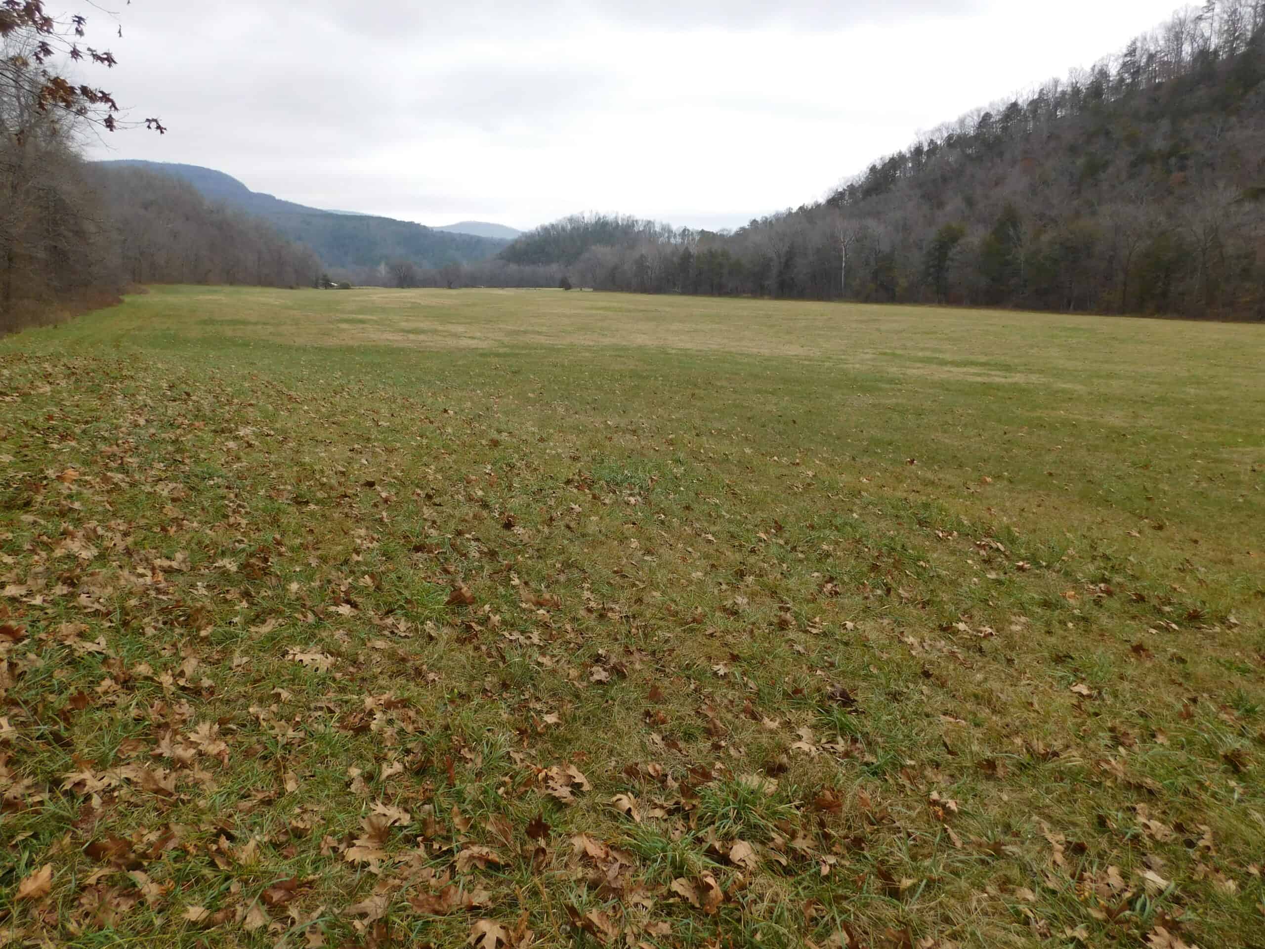 Creek Runs Through Farm Land/Deer Hunting Property in Newton County, Ar