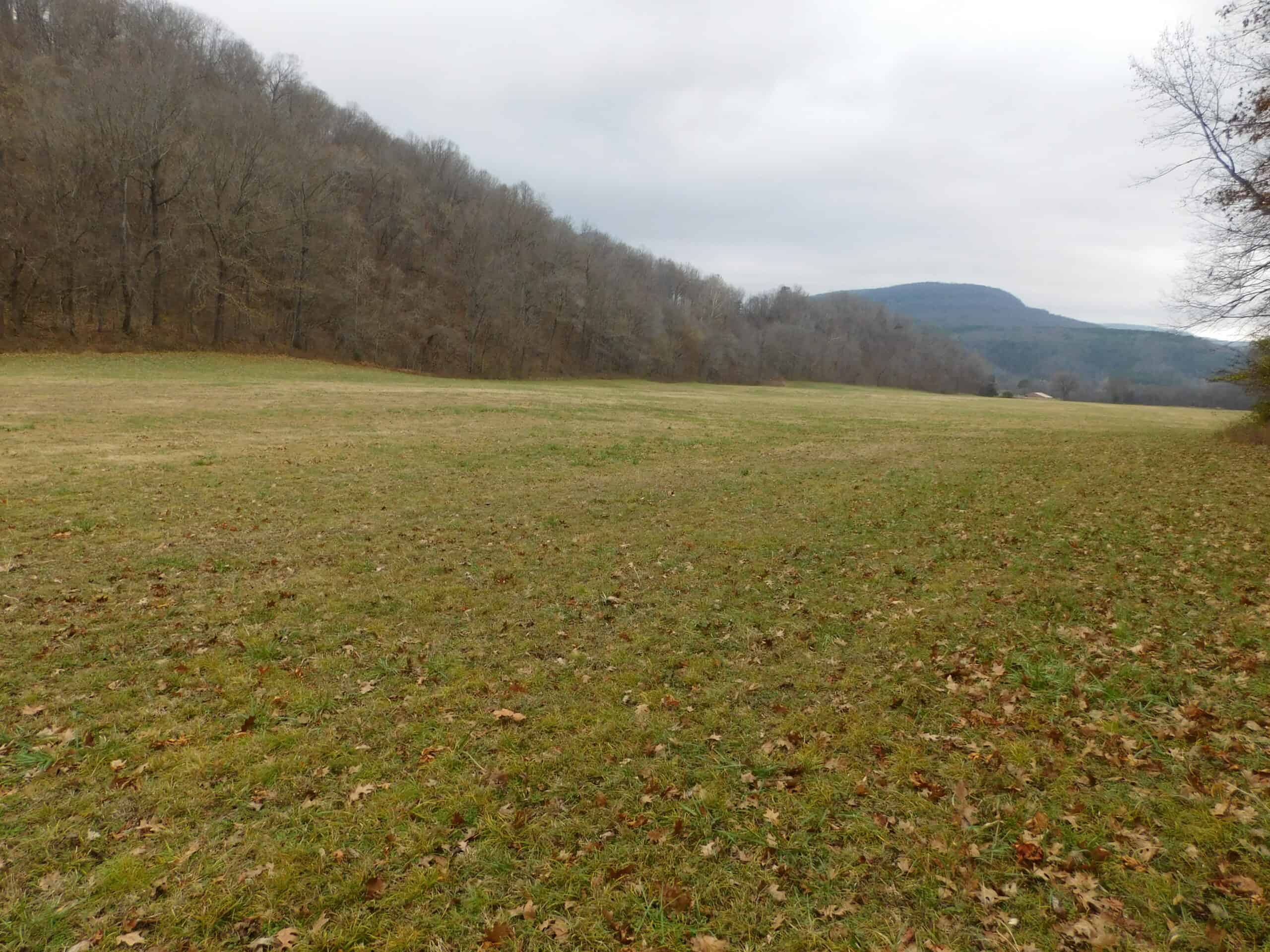 Creek Runs Through Farm Land/Deer Hunting Property in Newton County, Ar