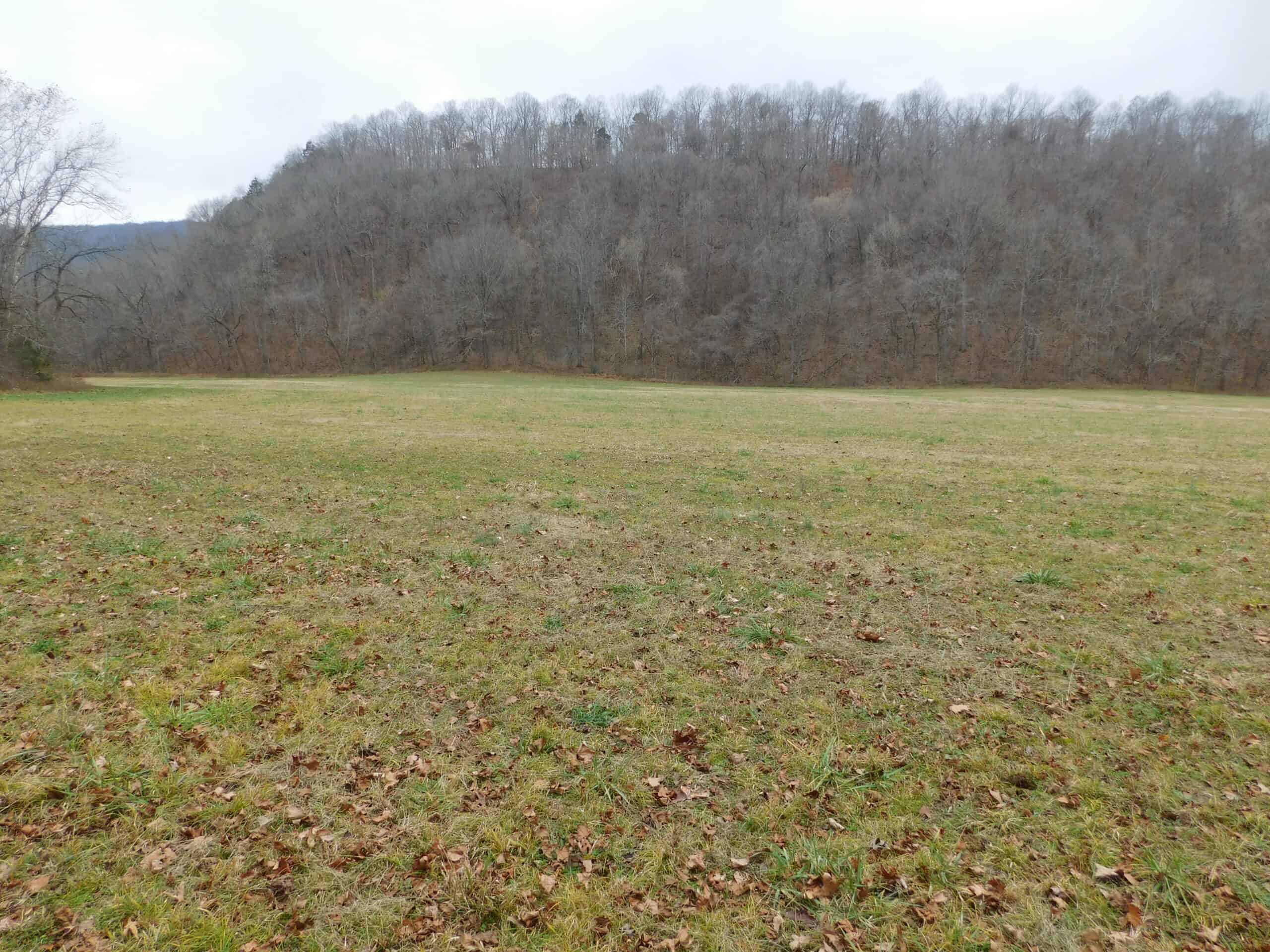 Creek Runs Through Farm Land/Deer Hunting Property in Newton County, Ar