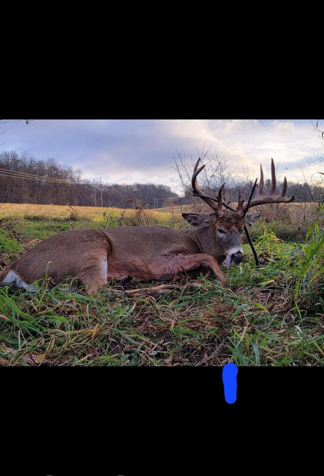 Land for sale with stream, crop ground, hunting, possible build site in WI