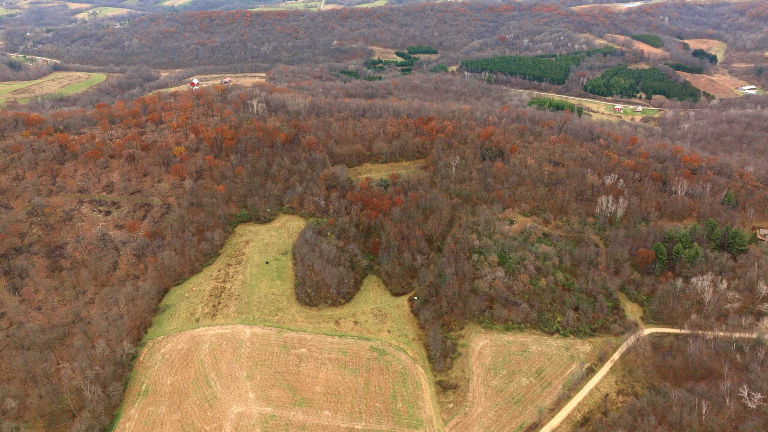 79+/- Acres in Sauk County WI with Cabin