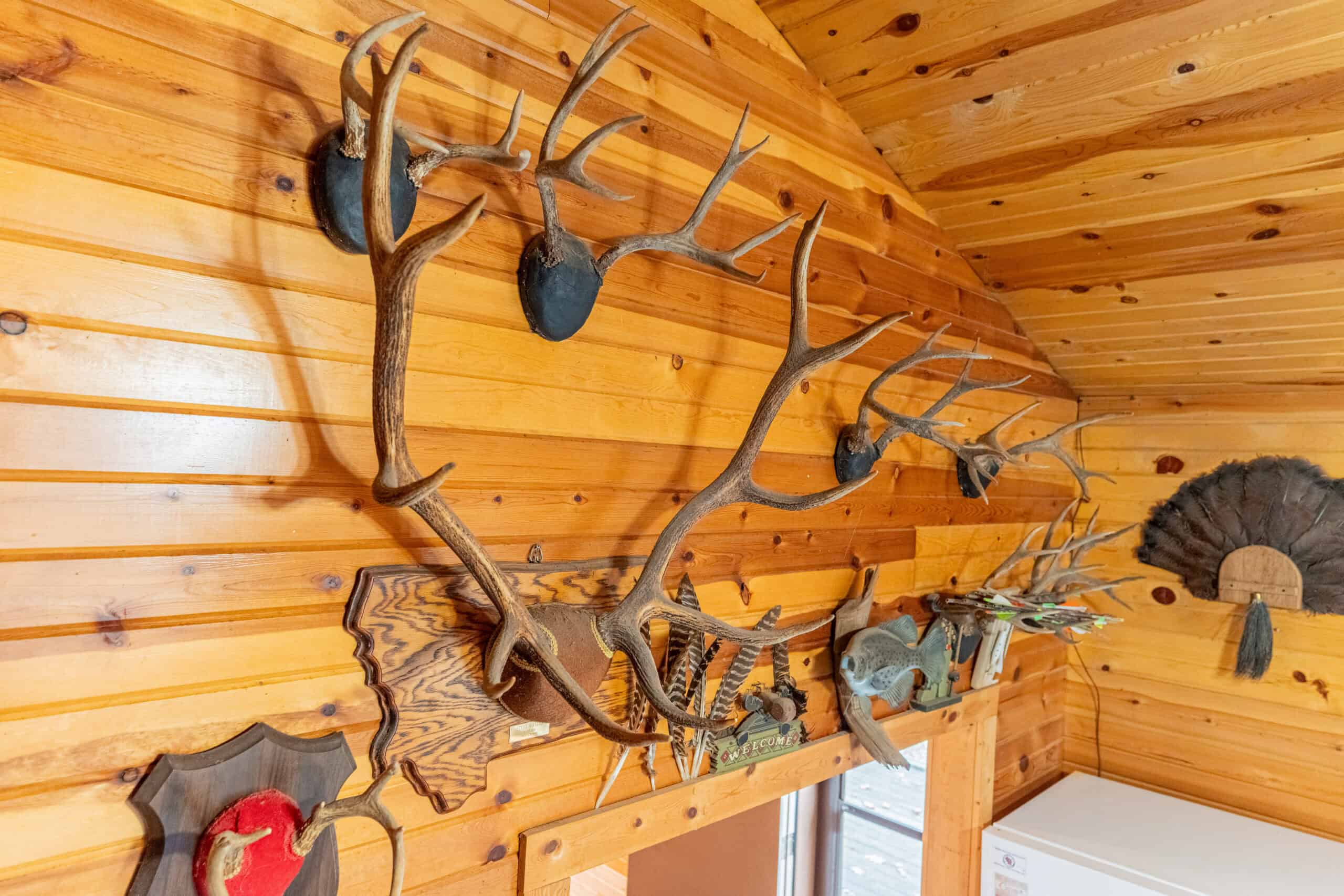 79+/- Acres in Sauk County WI with Cabin