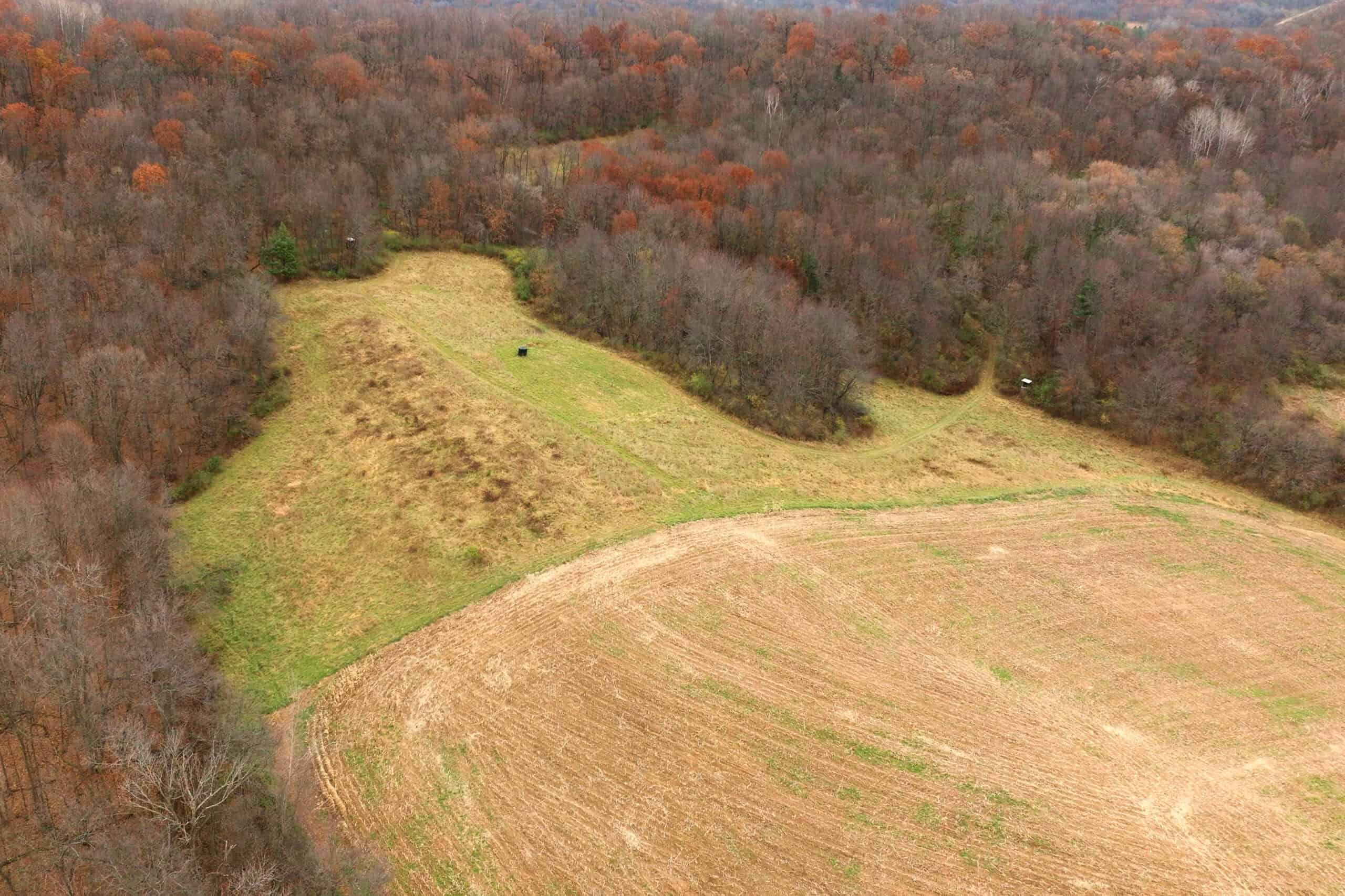 79+/- Acres in Sauk County WI with Cabin