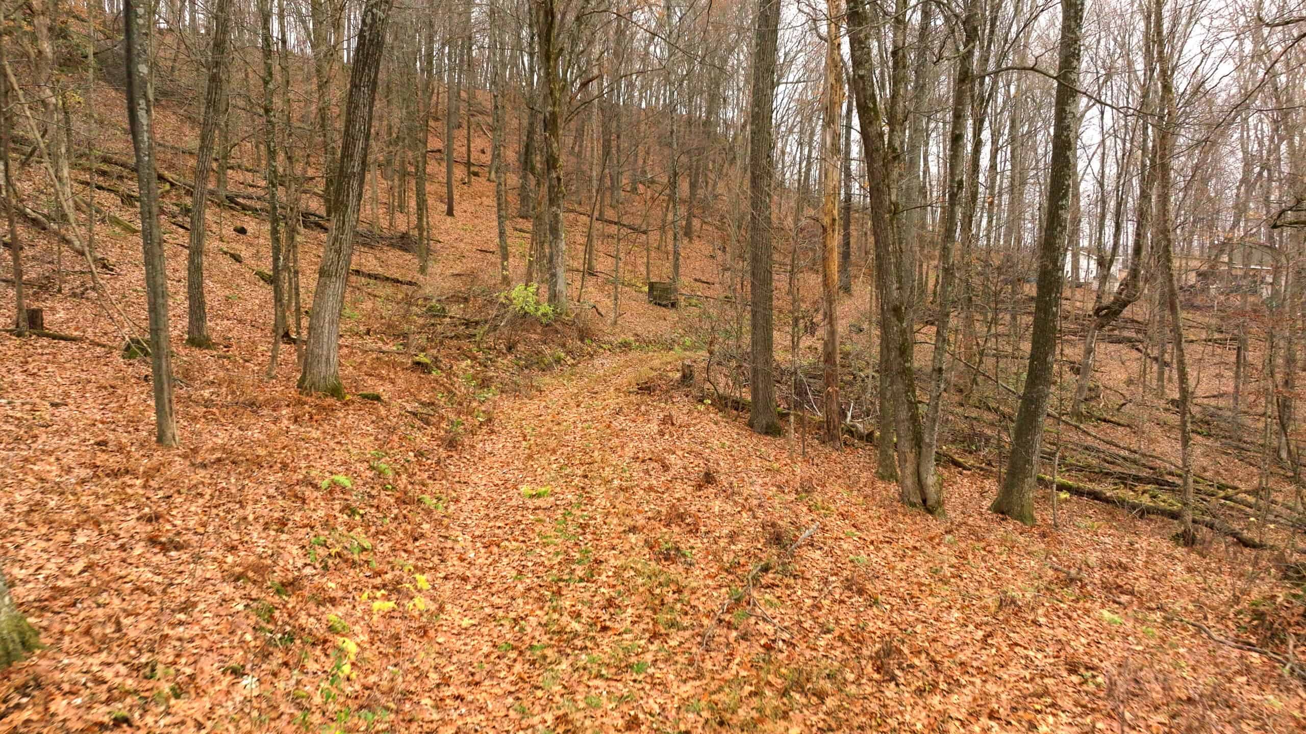 79+/- Acres in Sauk County WI with Cabin