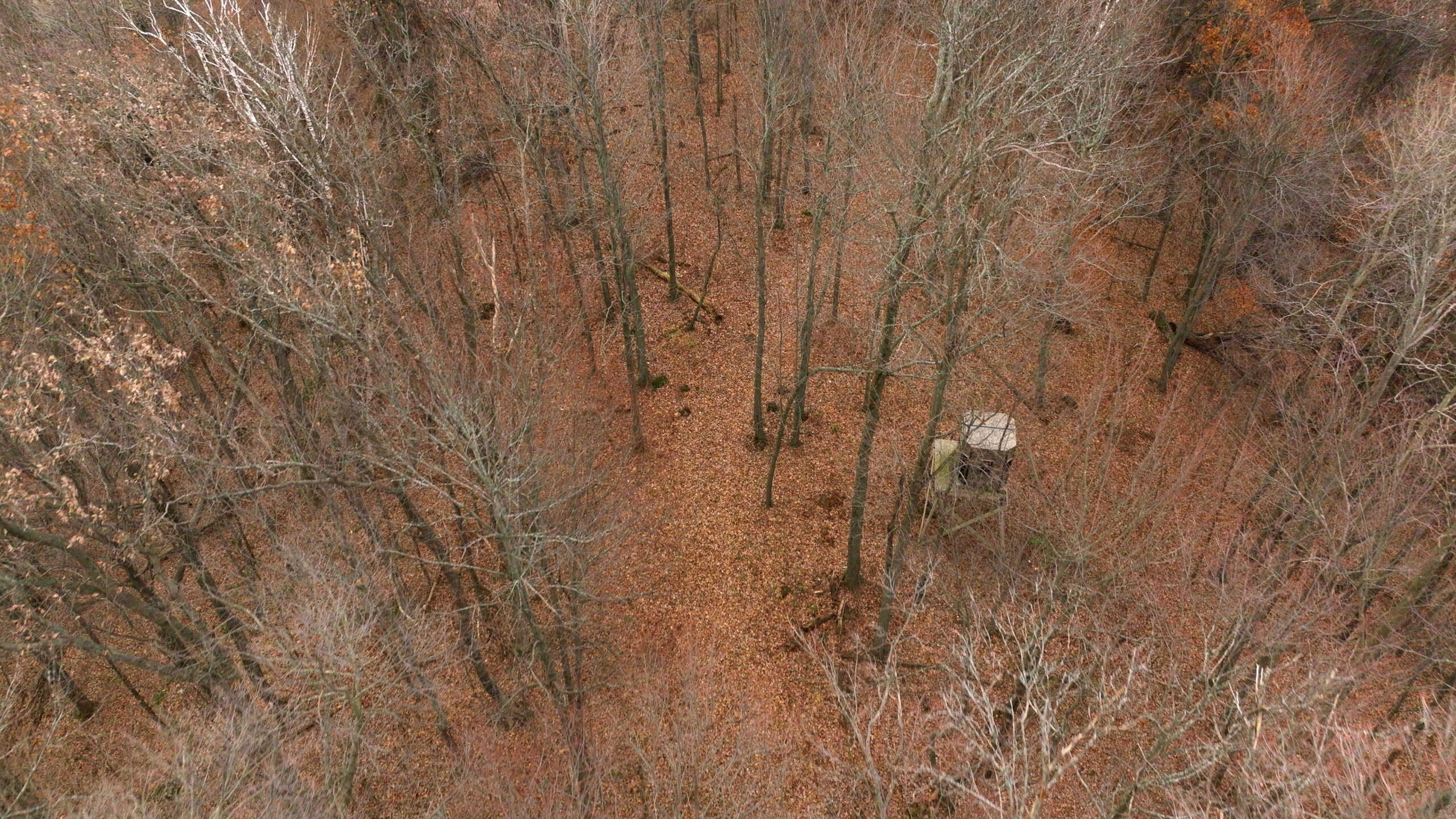 79+/- Acres in Sauk County WI with Cabin