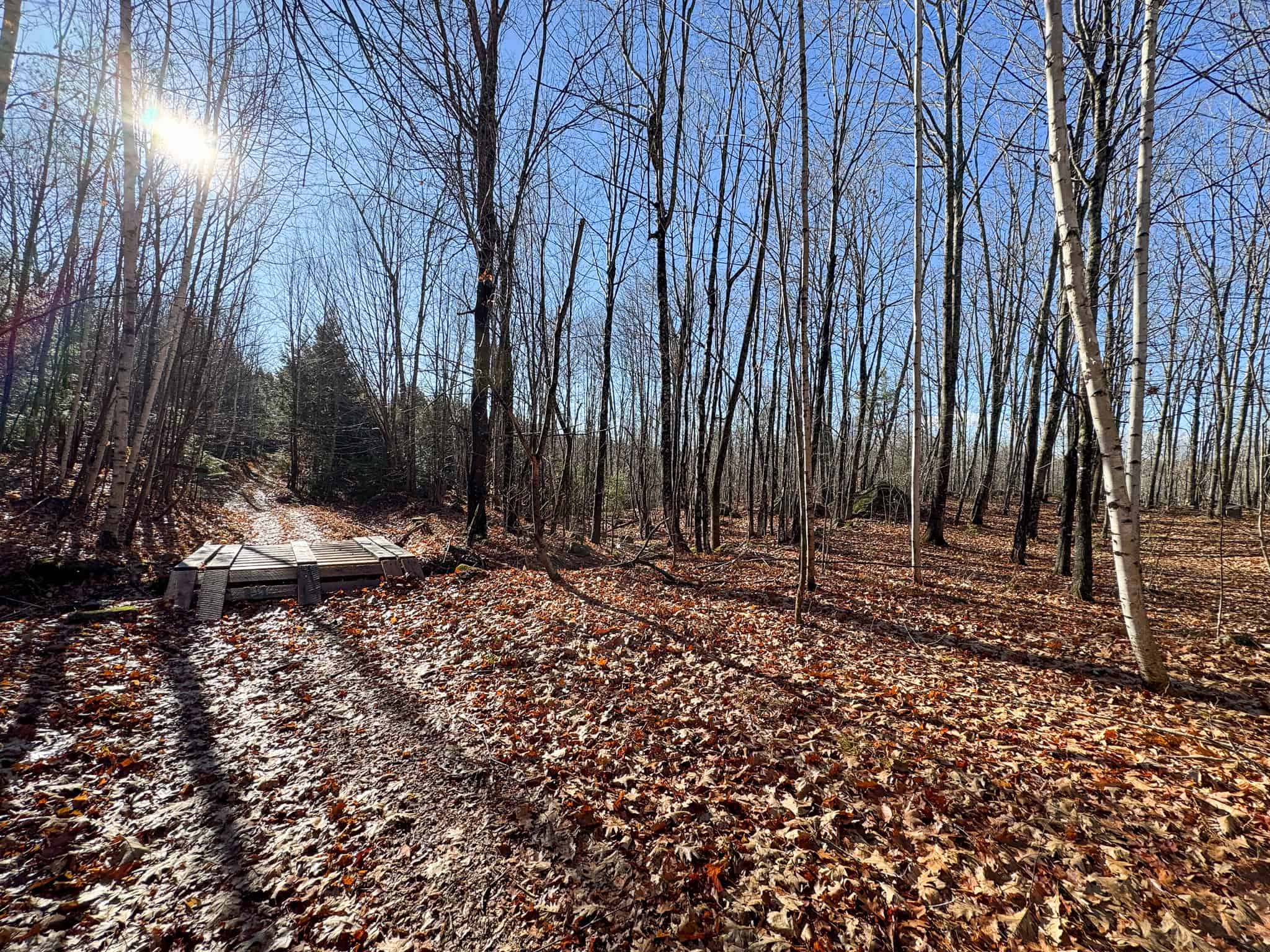 121± Acre Rustic Retreat with Endless Potential
