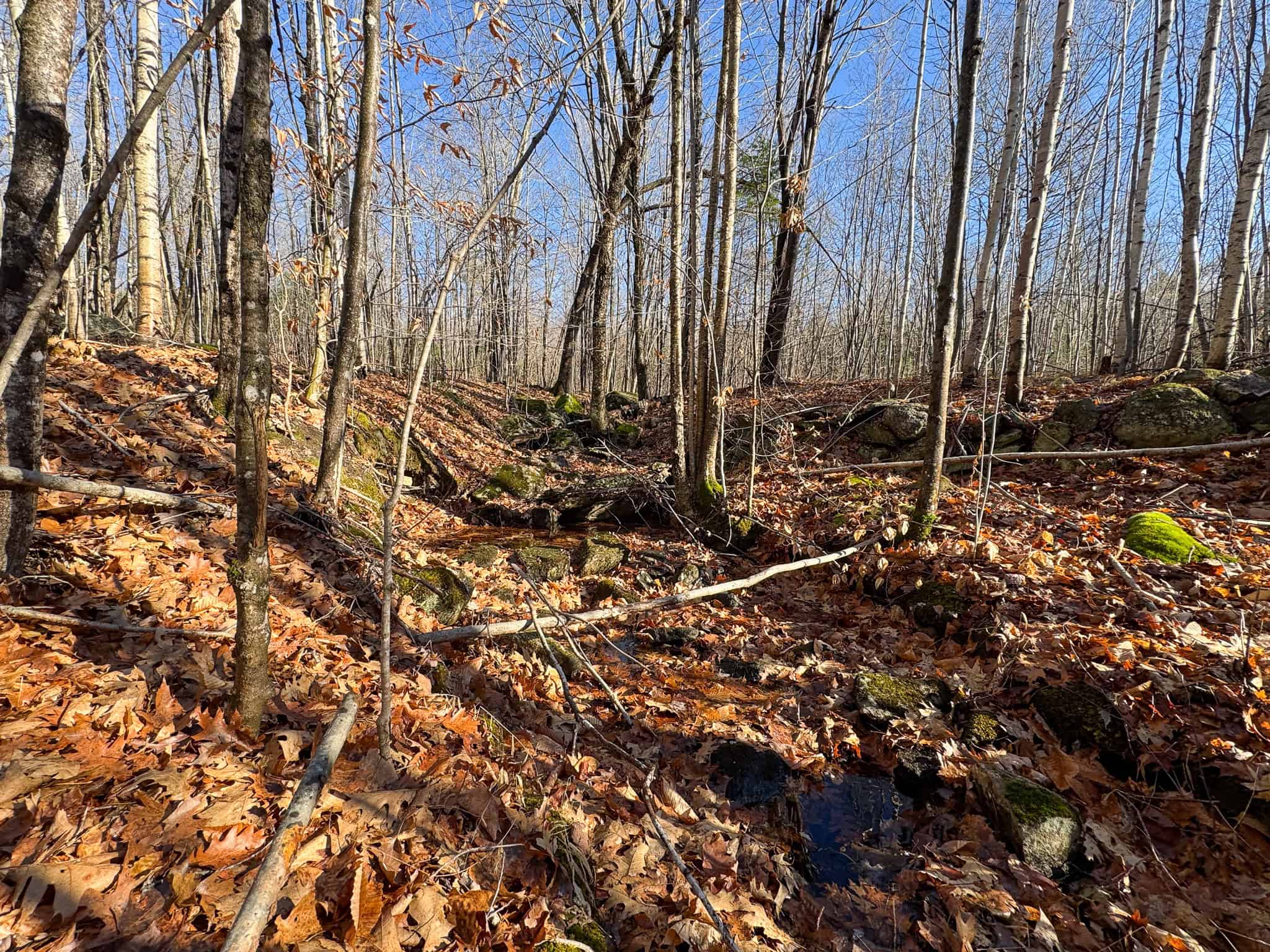 121± Acre Rustic Retreat with Endless Potential