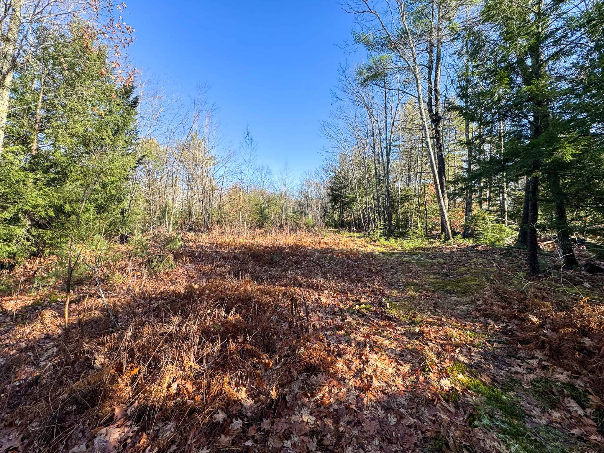 121± Acre Rustic Retreat with Endless Potential