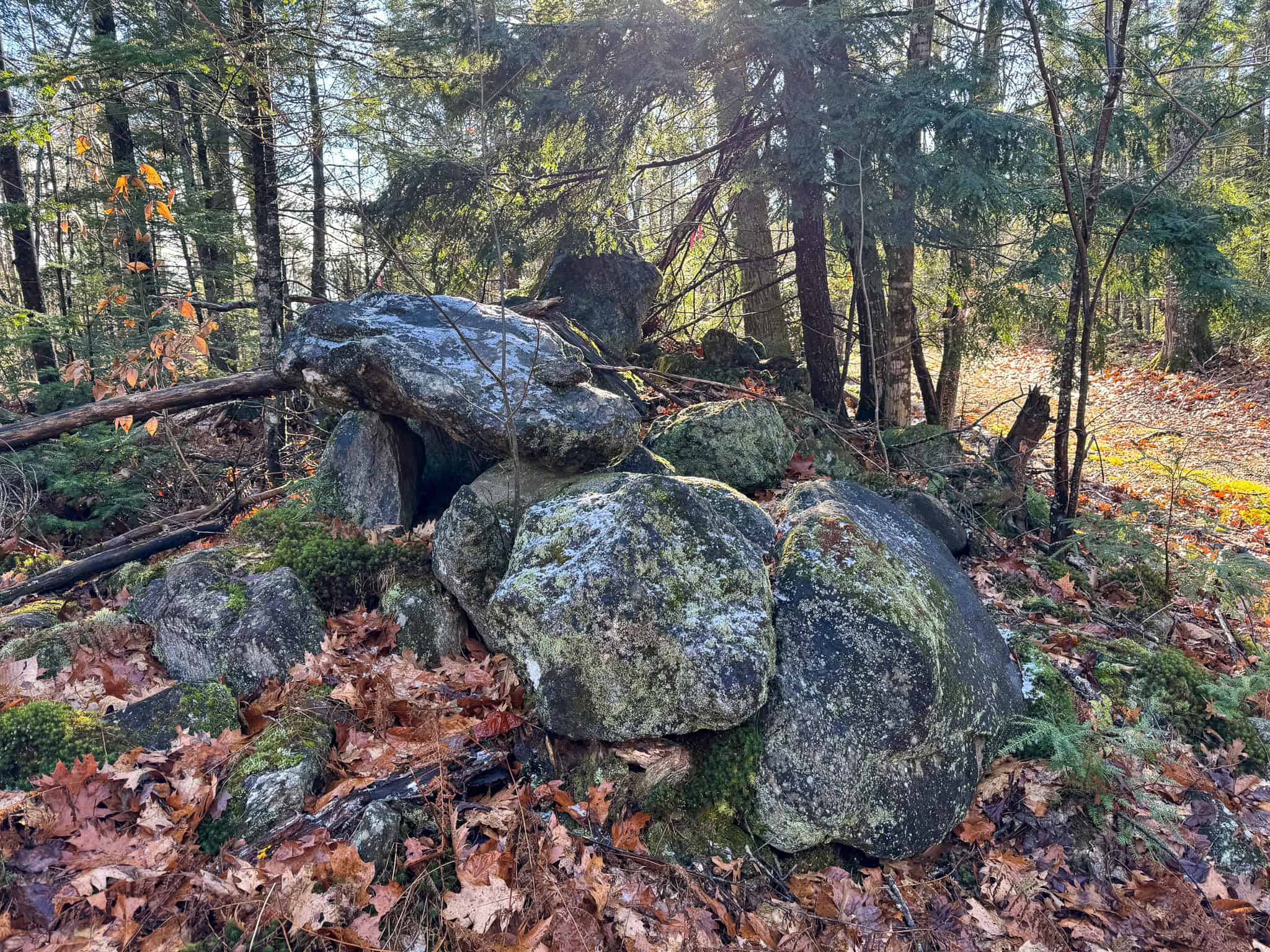 121± Acre Rustic Retreat with Endless Potential