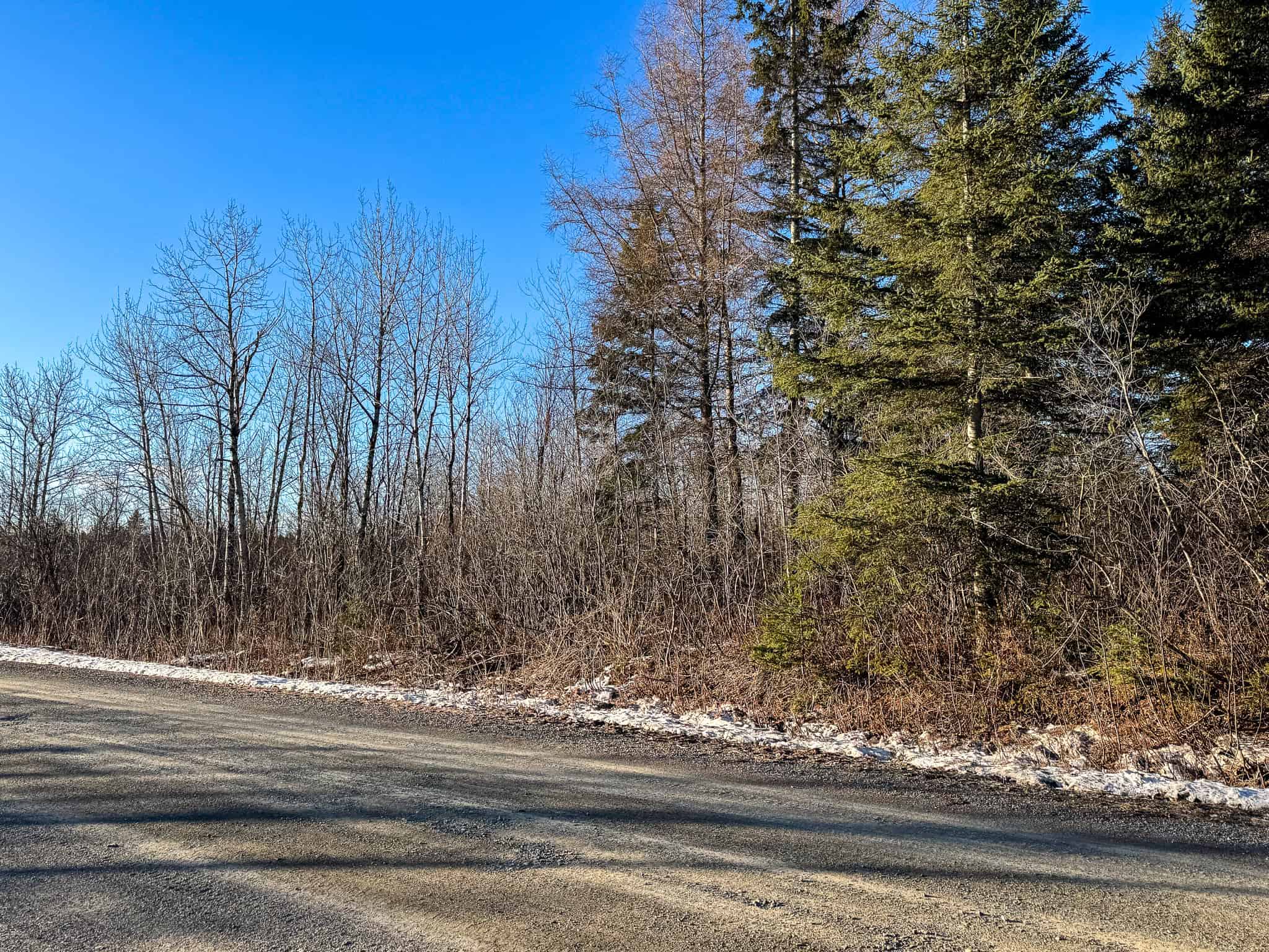 59 Acres in Northern Maine