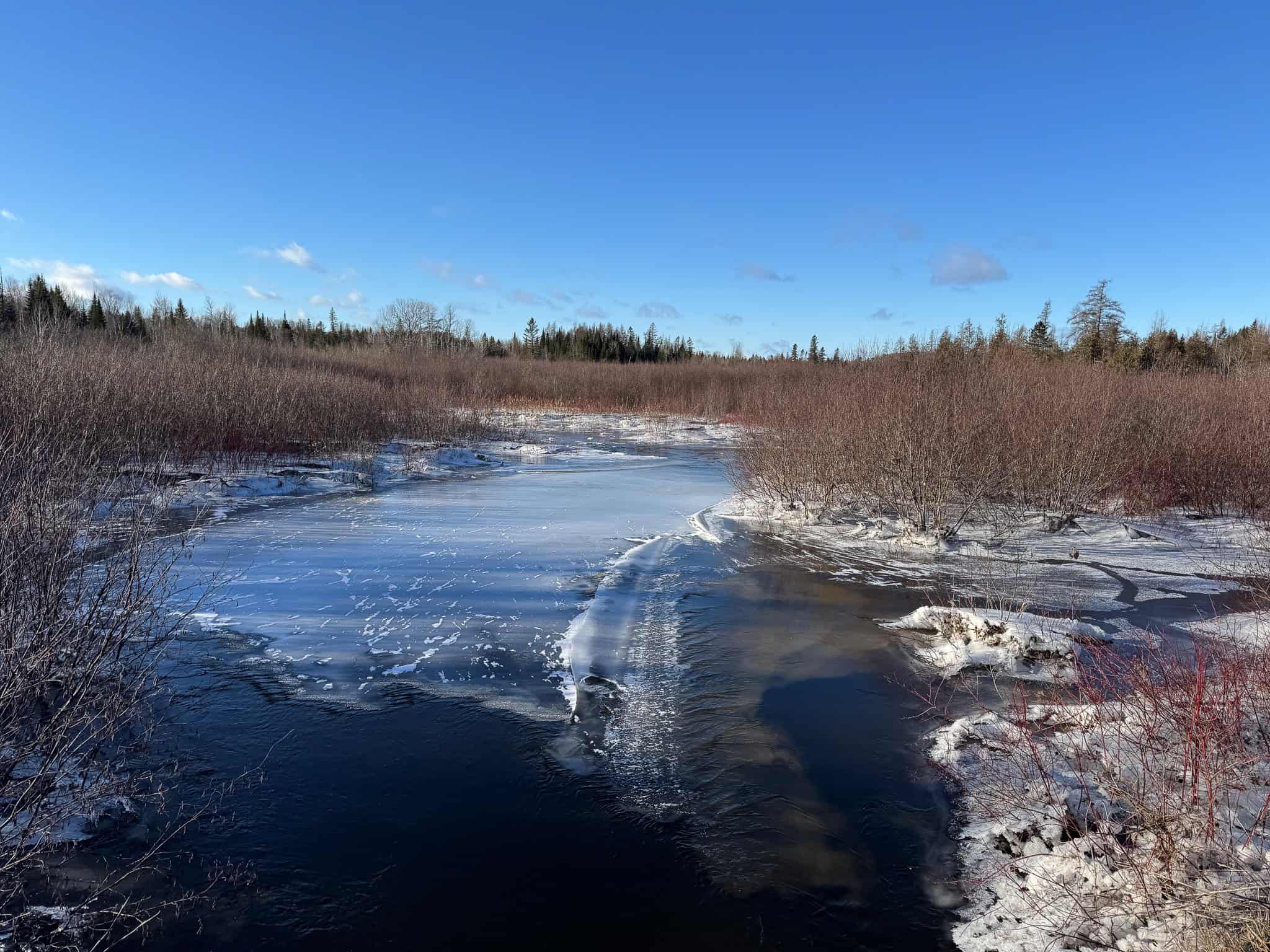 59 Acres in Northern Maine