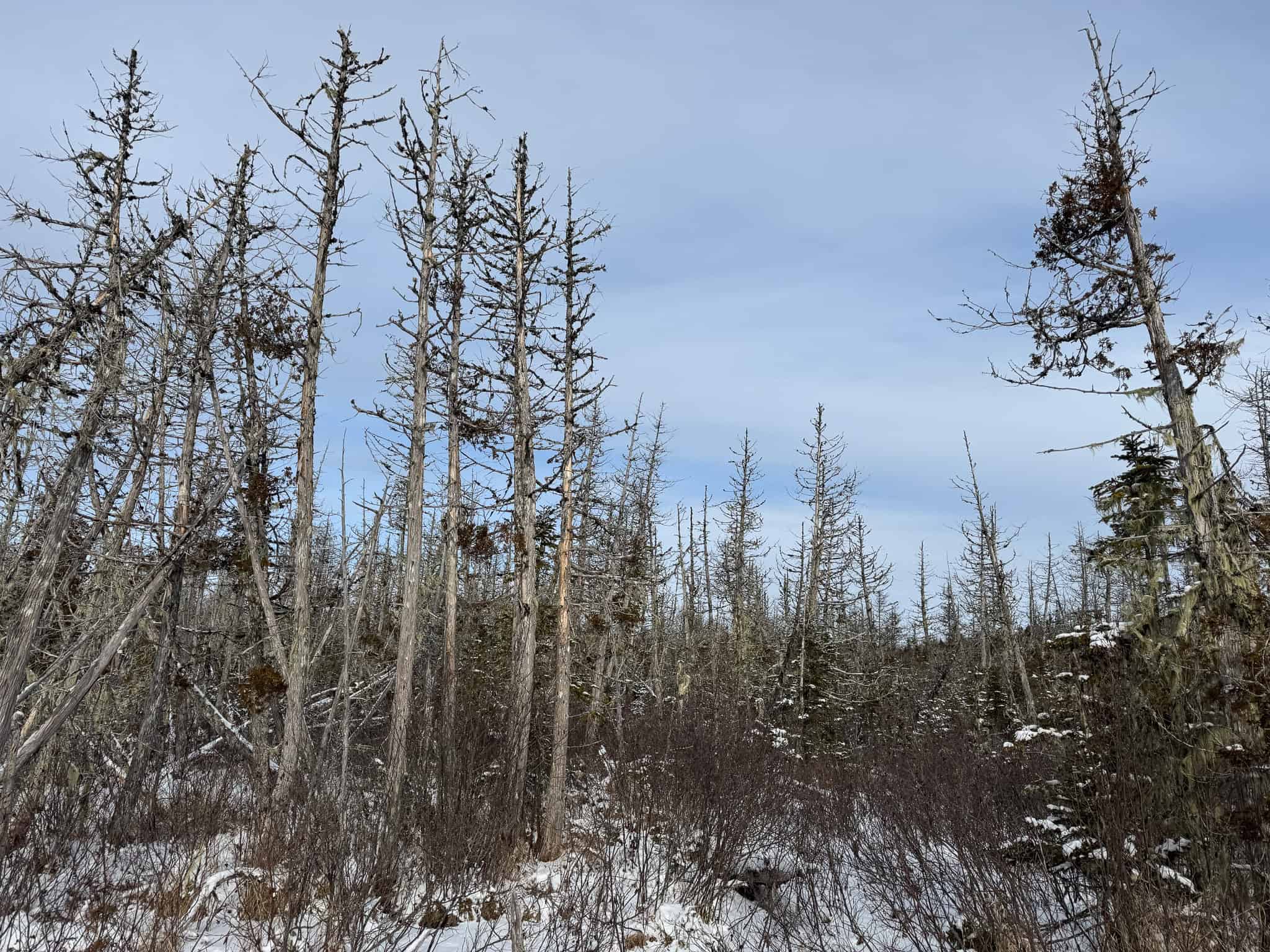 Secluded Cabin on 550 Acres with Stunning Views & Ultimate Privacy