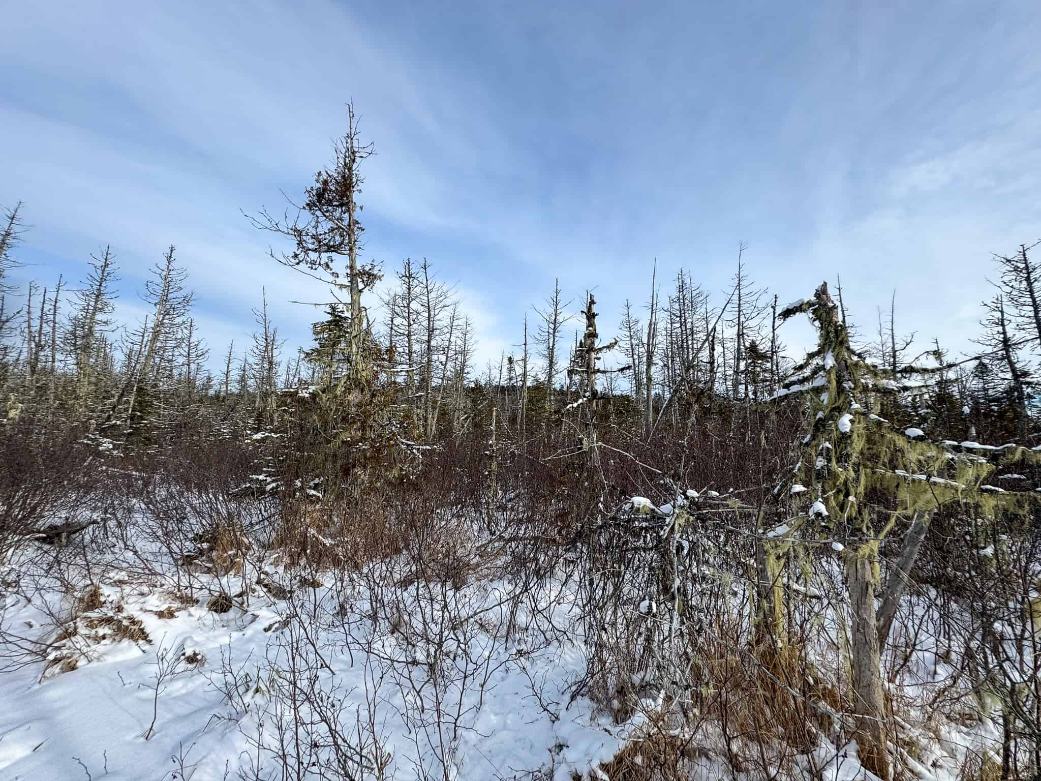 Secluded Cabin on 550 Acres with Stunning Views & Ultimate Privacy