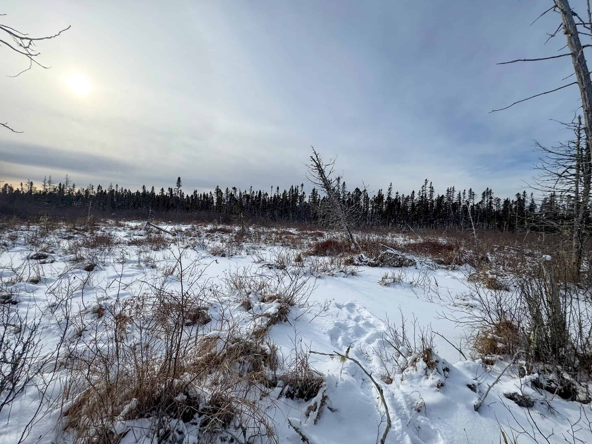Secluded Cabin on 550 Acres with Stunning Views & Ultimate Privacy