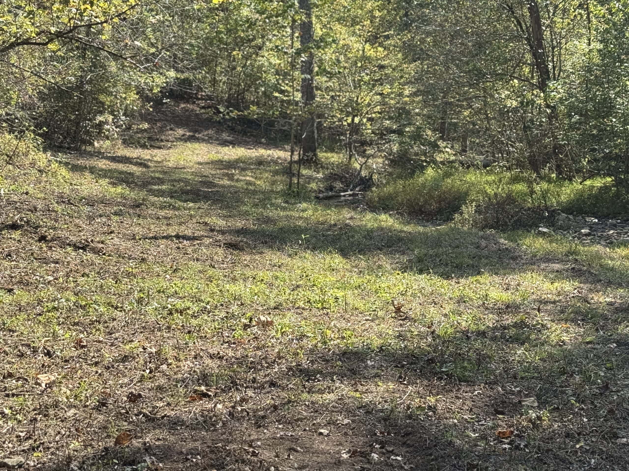HOME WITH LARGE HUNTING ACREAGE AND FARMING LAND IN ARKANSAS