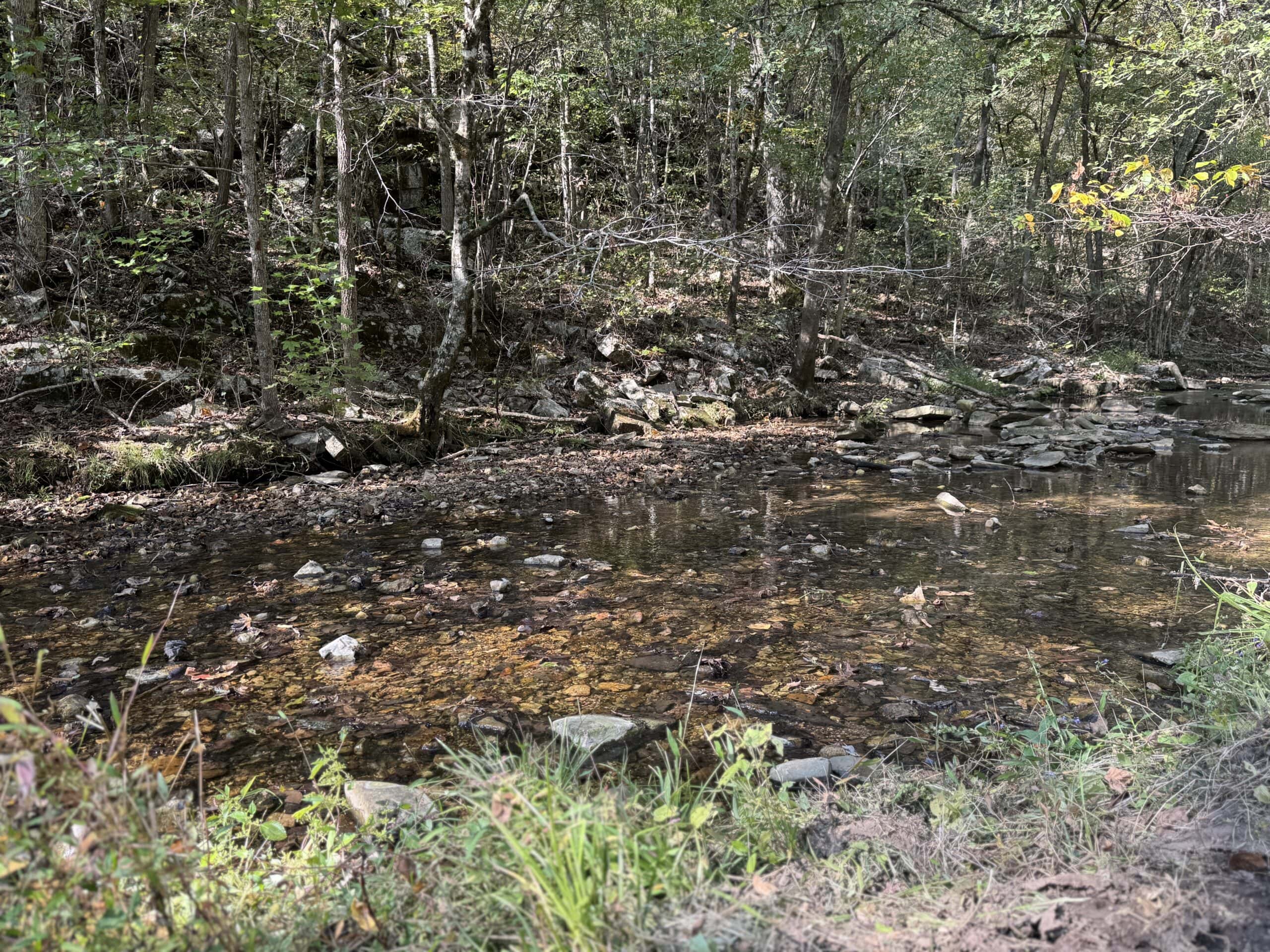 HOME WITH LARGE HUNTING ACREAGE AND FARMING LAND IN ARKANSAS