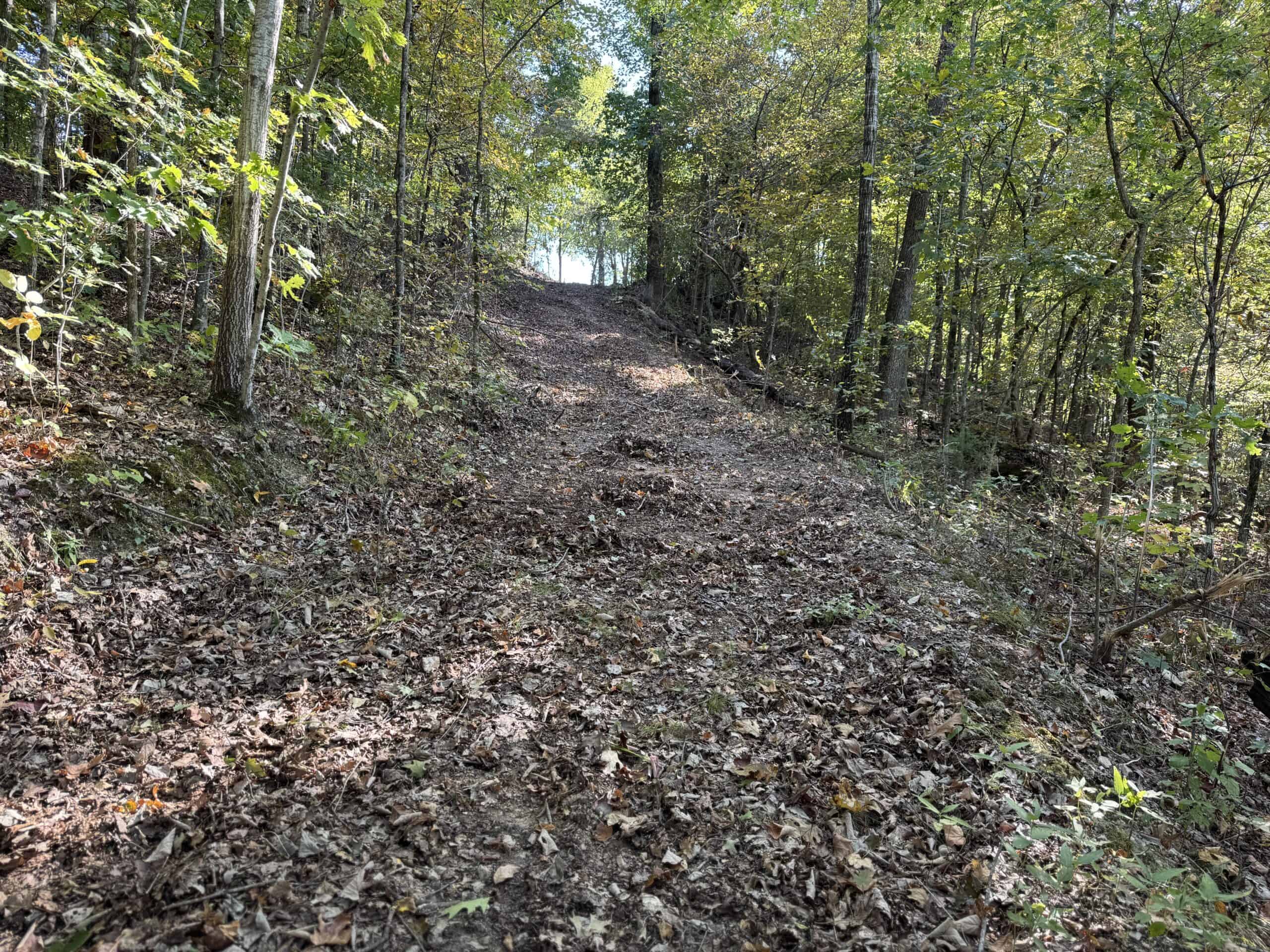 HOME WITH LARGE HUNTING ACREAGE AND FARMING LAND IN ARKANSAS