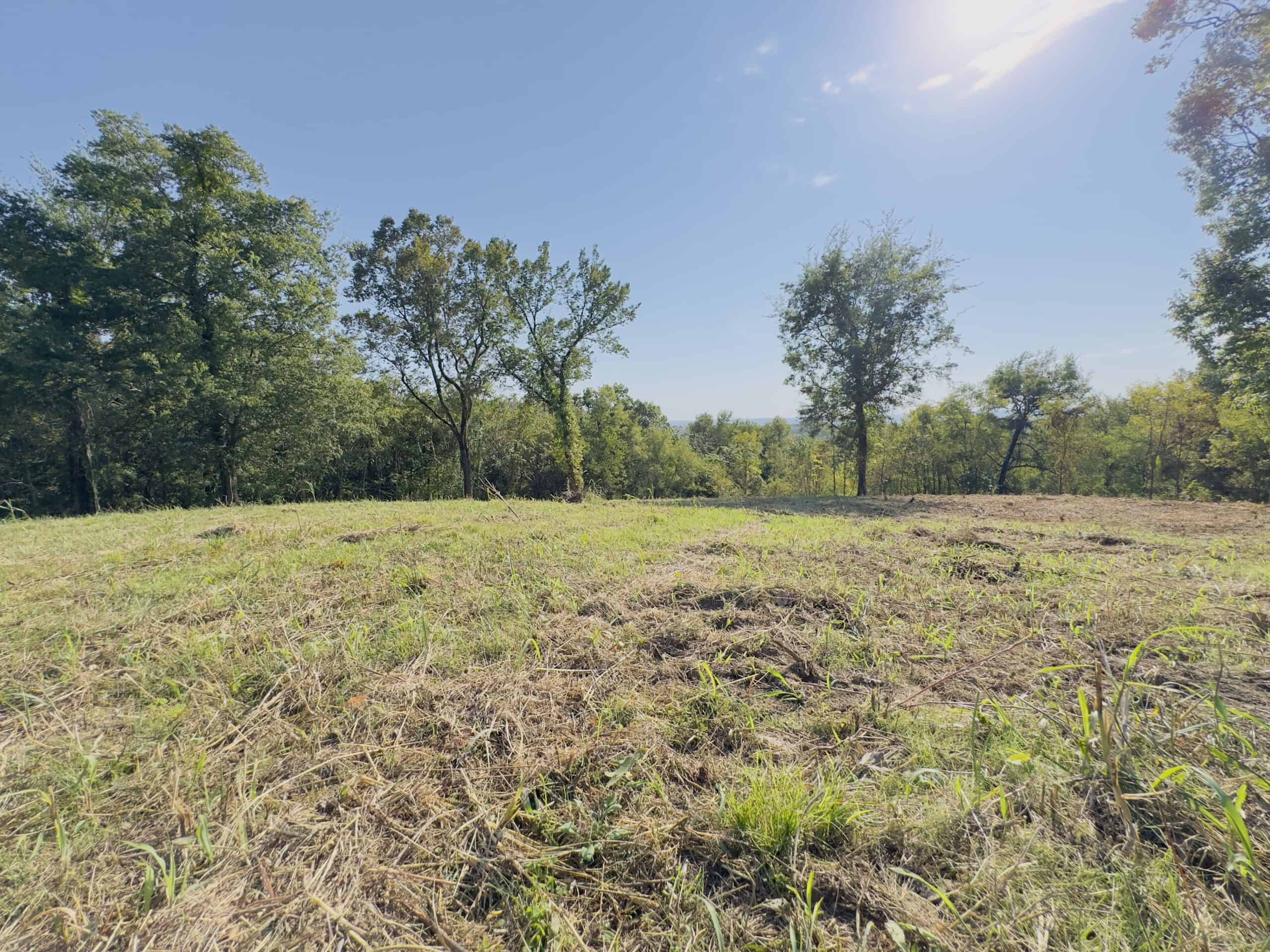 HOME WITH LARGE HUNTING ACREAGE AND FARMING LAND IN ARKANSAS