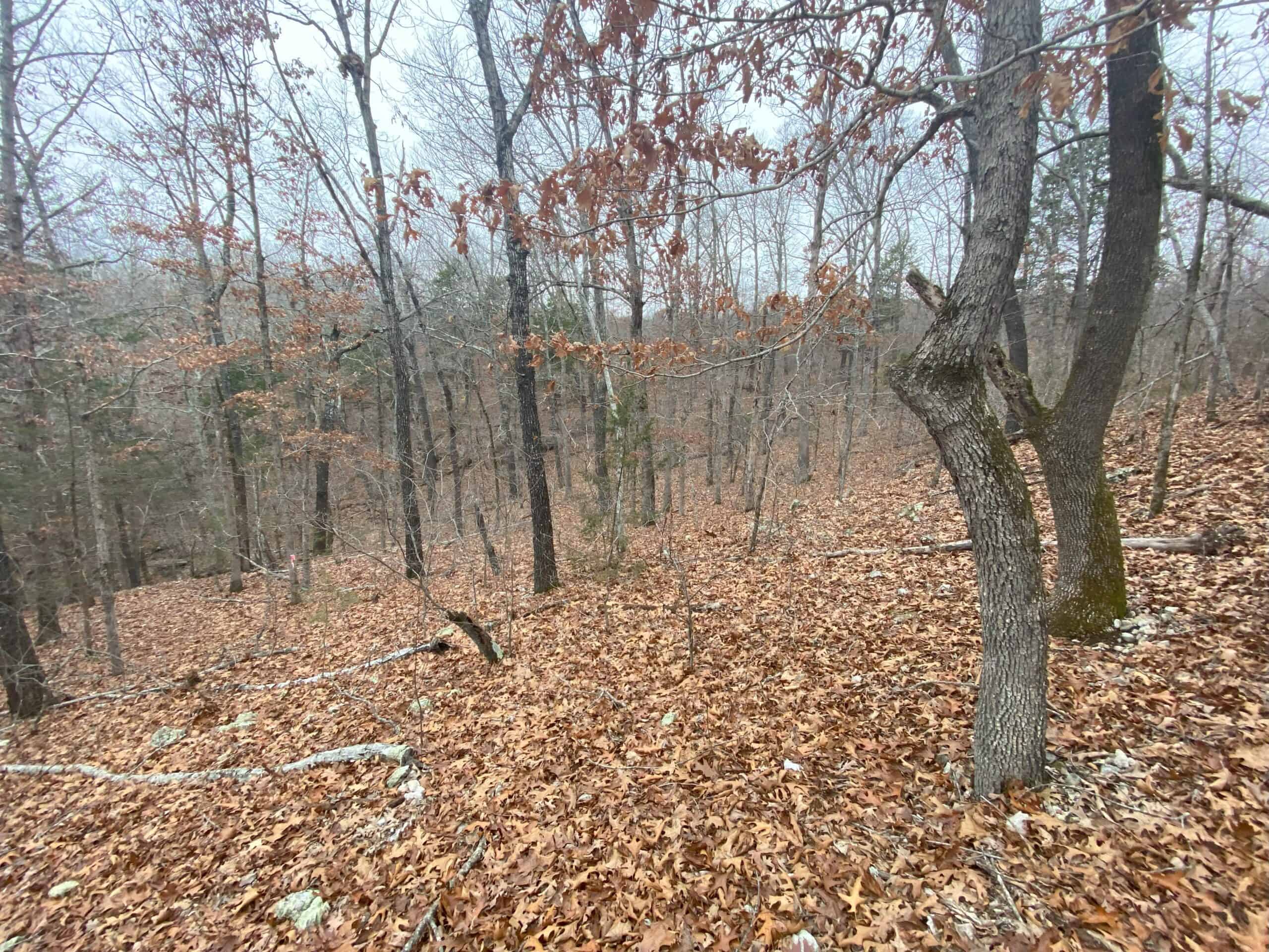 60 Acres Prime Newton Co, Ar Hunting Land For Sale Bordering Buffalo National River Park Land on 2 Sides!