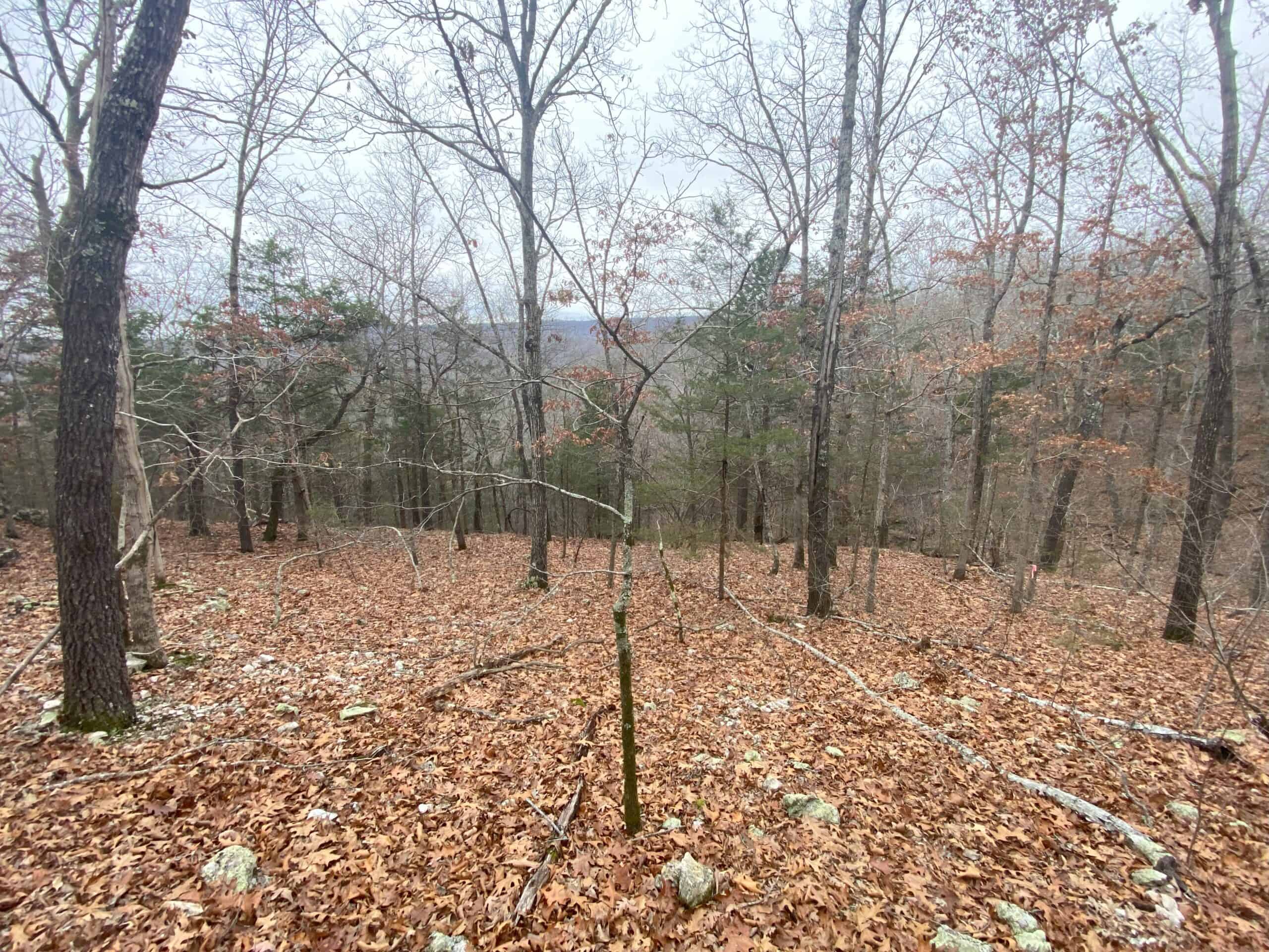 60 Acres Prime Newton Co, Ar Hunting Land For Sale Bordering Buffalo National River Park Land on 2 Sides!