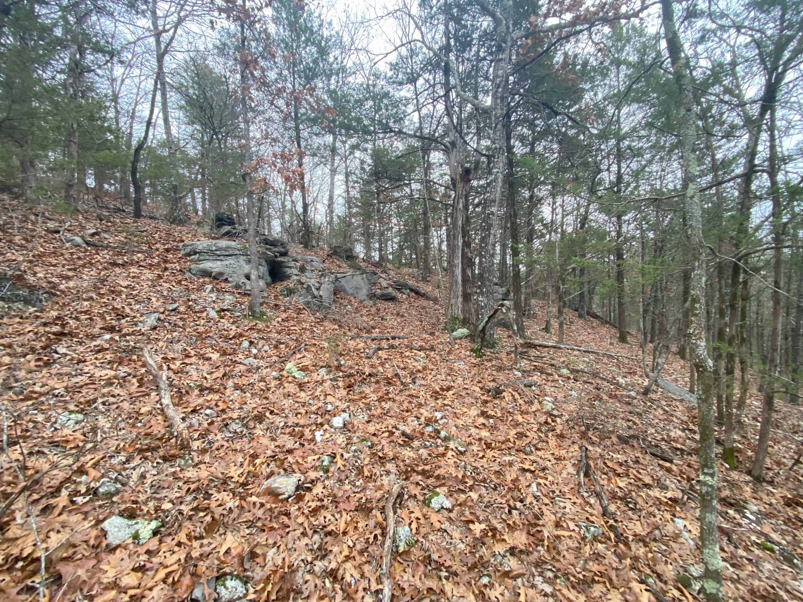 60 Acres Prime Newton Co, Ar Hunting Land For Sale Bordering Buffalo National River Park Land on 2 Sides!