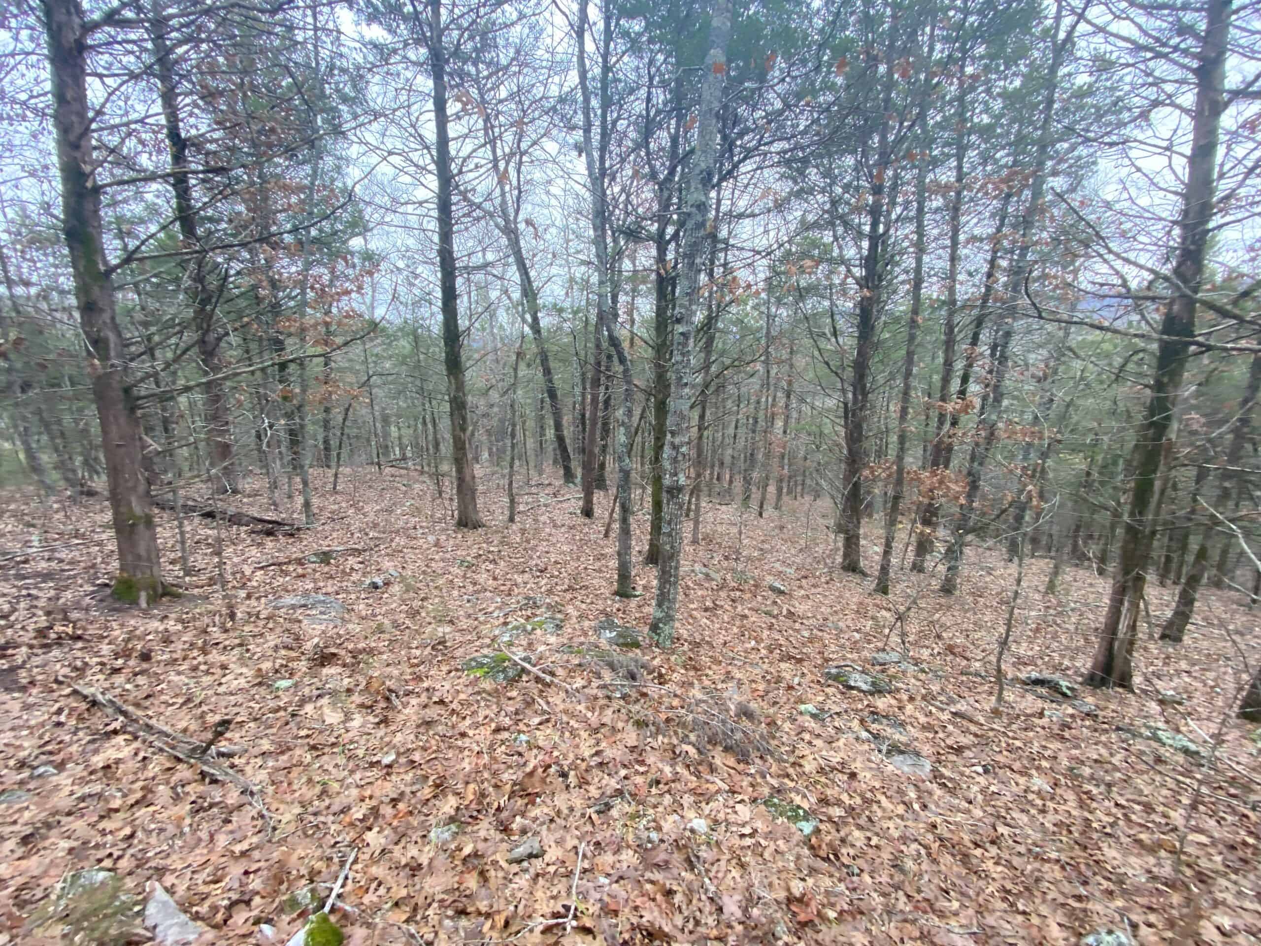 60 Acres Prime Newton Co, Ar Hunting Land For Sale Bordering Buffalo National River Park Land on 2 Sides!