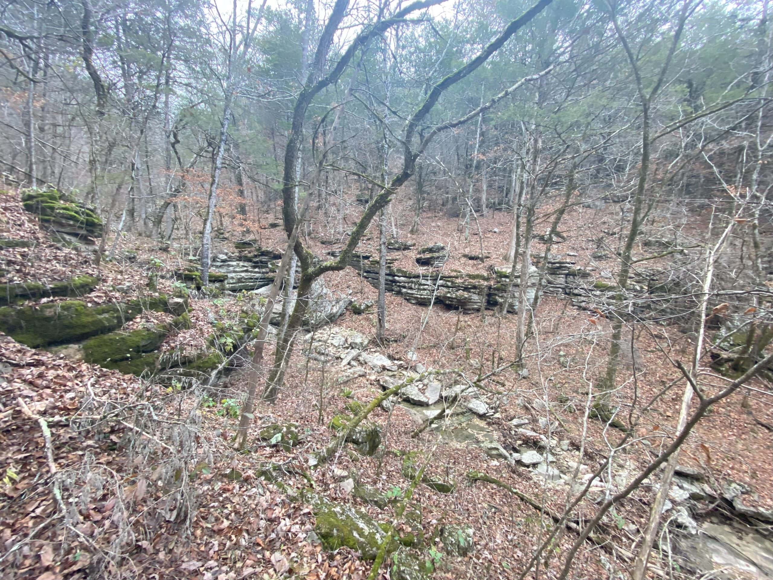 60 Acres Prime Newton Co, Ar Hunting Land For Sale Bordering Buffalo National River Park Land on 2 Sides!
