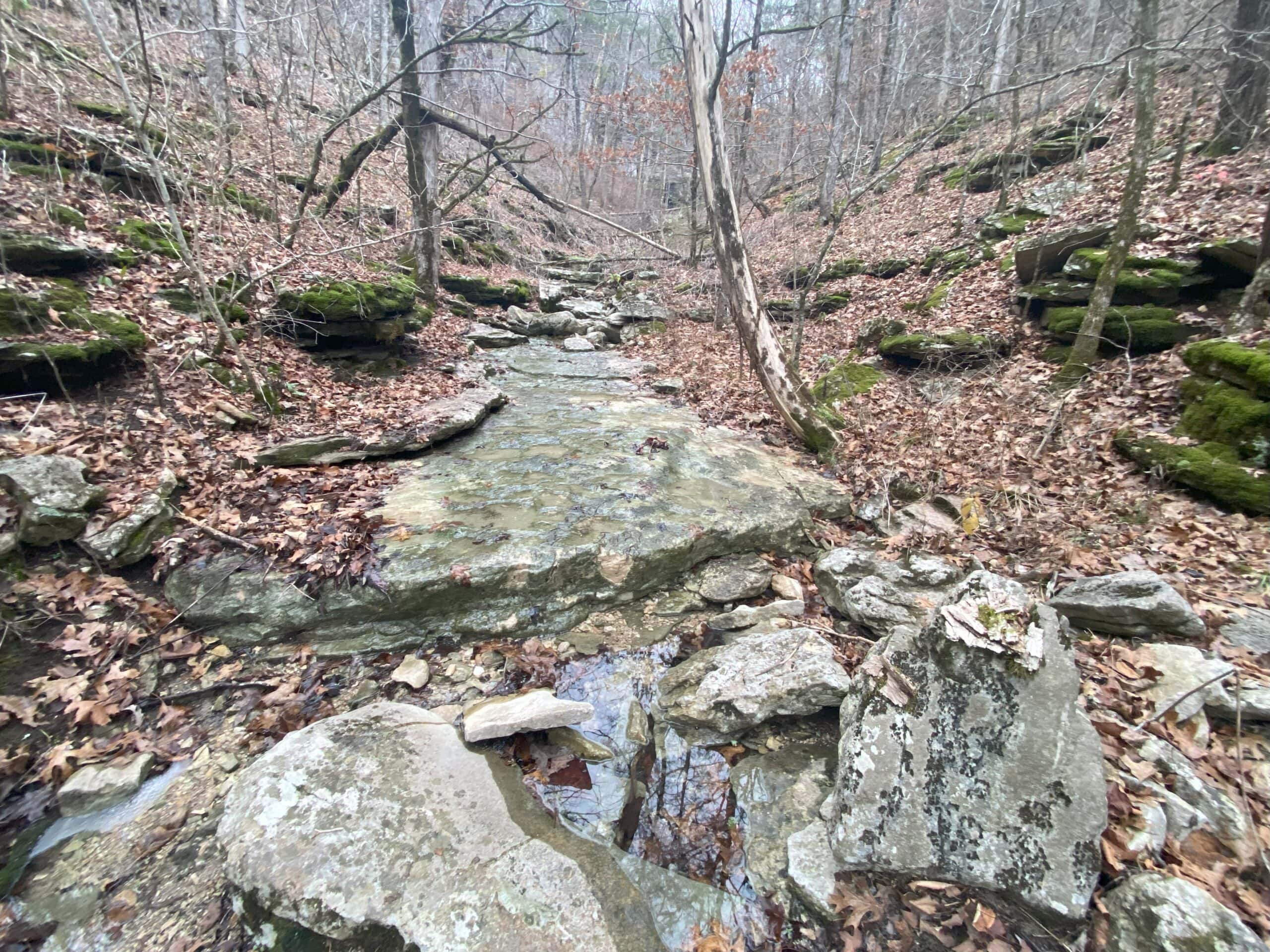 60 Acres Prime Newton Co, Ar Hunting Land For Sale Bordering Buffalo National River Park Land on 2 Sides!