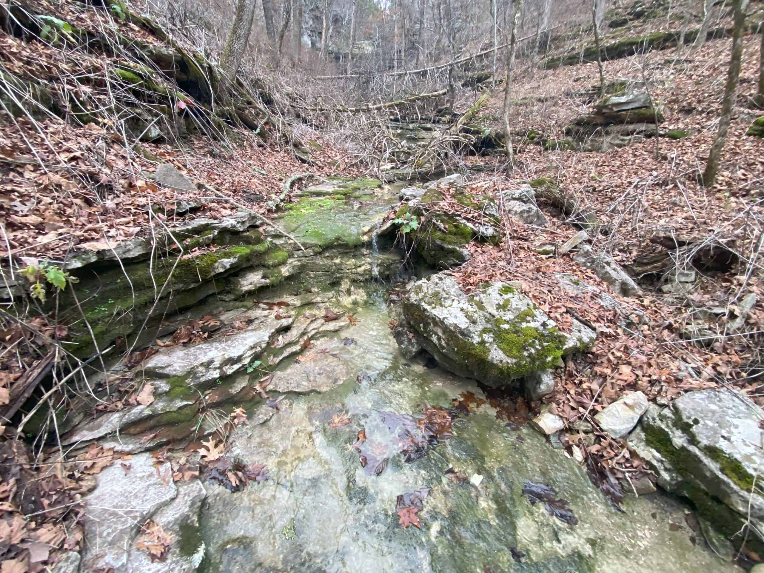 60 Acres Prime Newton Co, Ar Hunting Land For Sale Bordering Buffalo National River Park Land on 2 Sides!