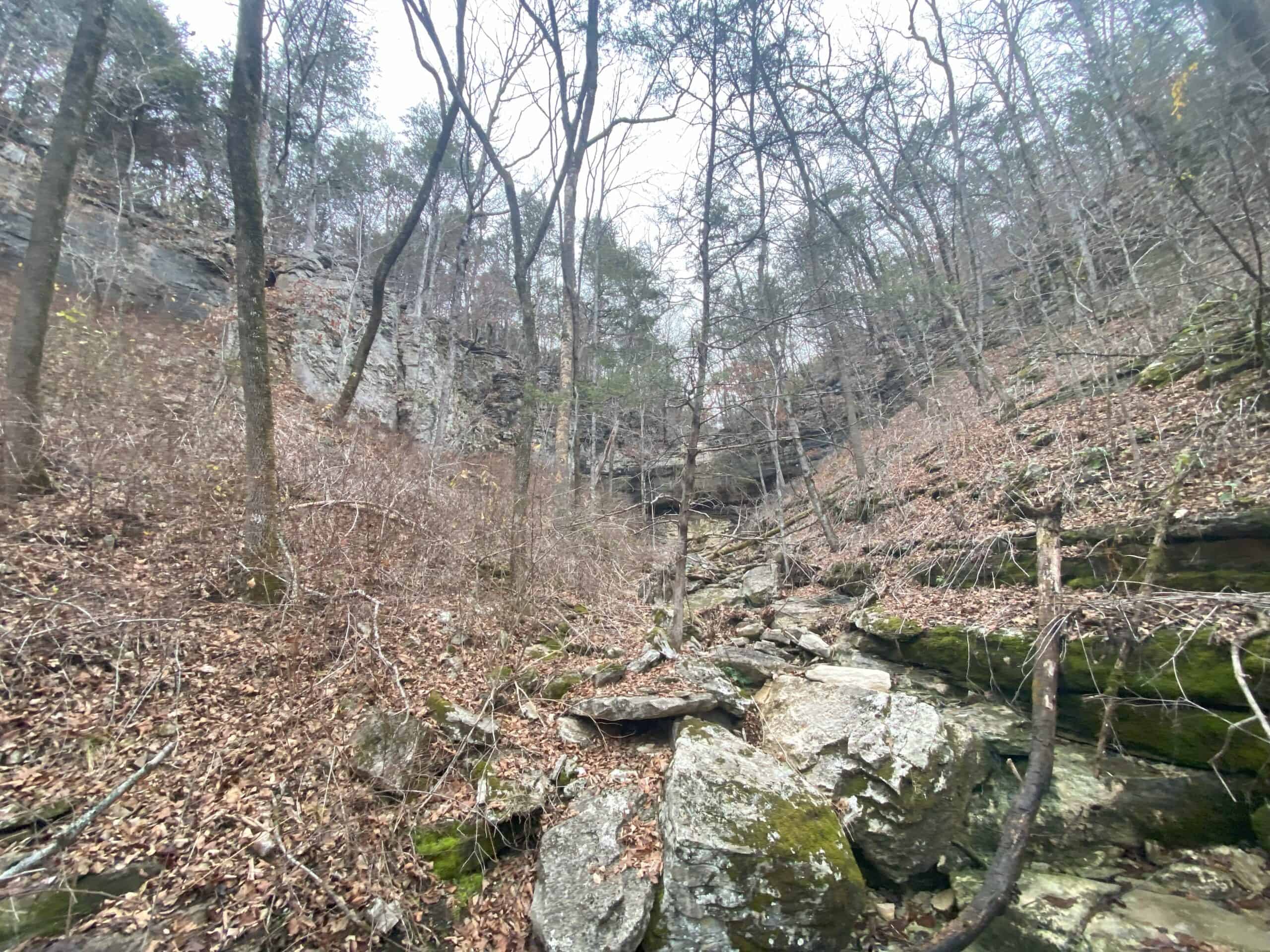 60 Acres Prime Newton Co, Ar Hunting Land For Sale Bordering Buffalo National River Park Land on 2 Sides!