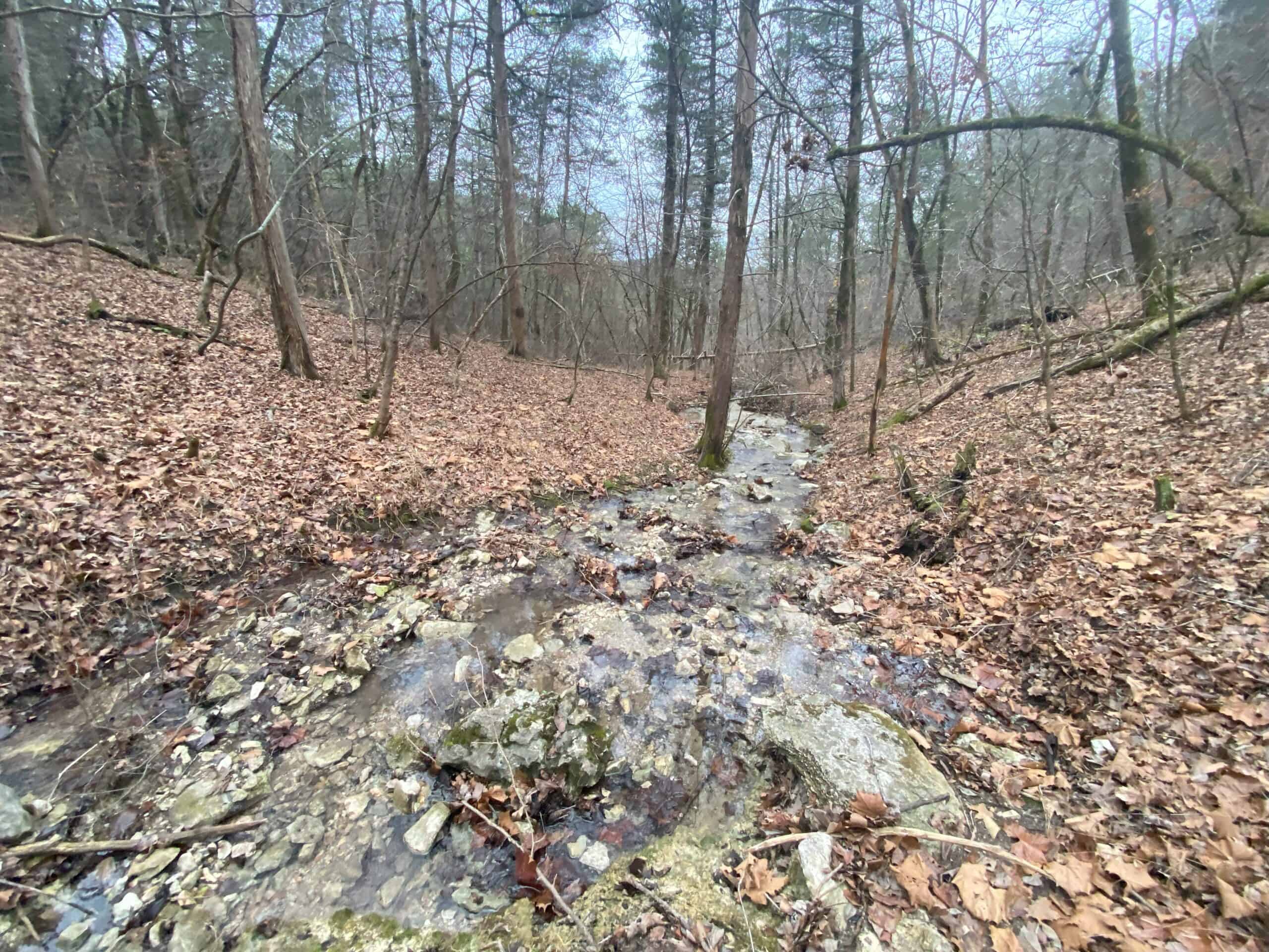 60 Acres Prime Newton Co, Ar Hunting Land For Sale Bordering Buffalo National River Park Land on 2 Sides!