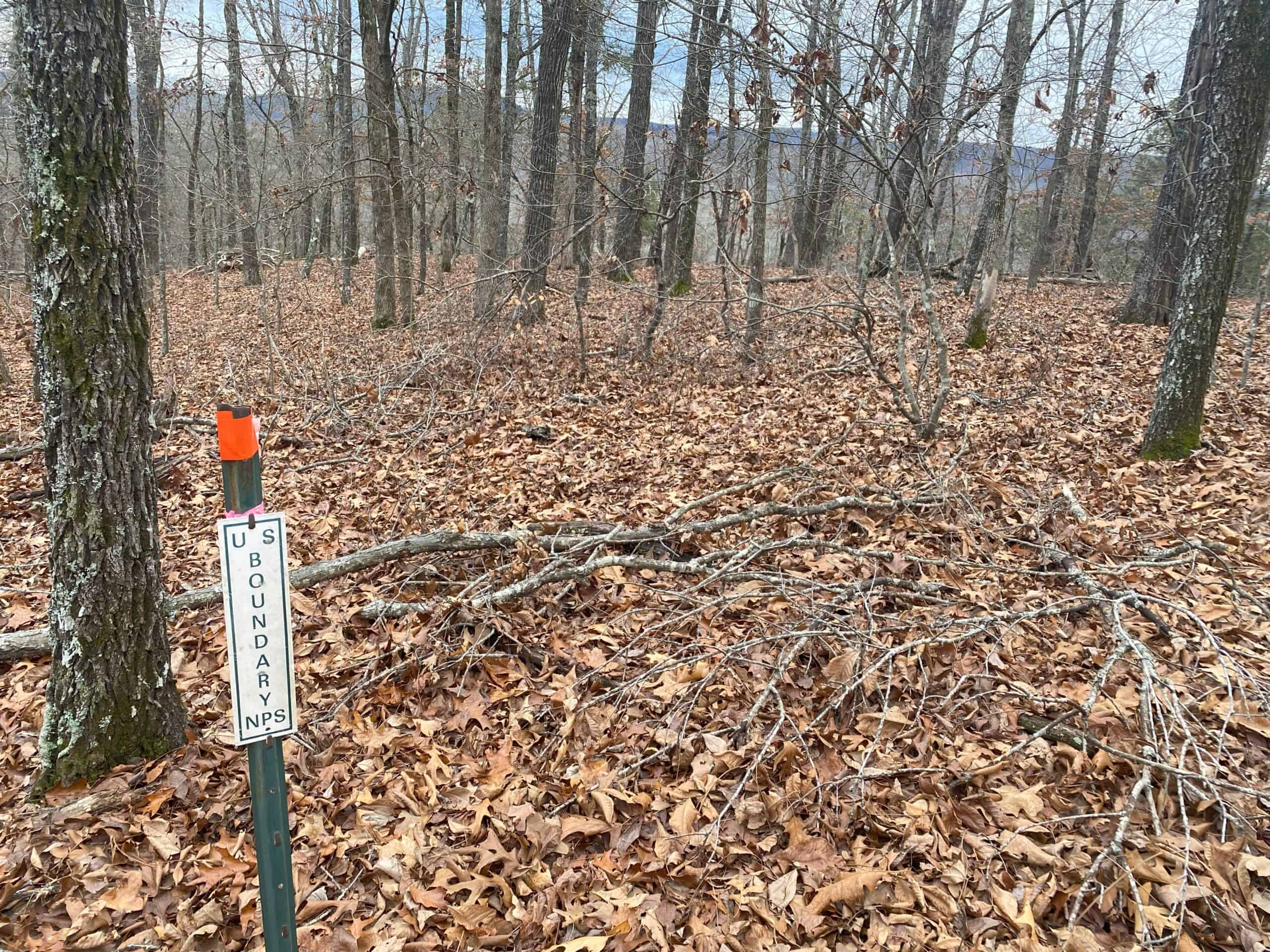 60 Acres Prime Newton Co, Ar Hunting Land For Sale Bordering Buffalo National River Park Land on 2 Sides!