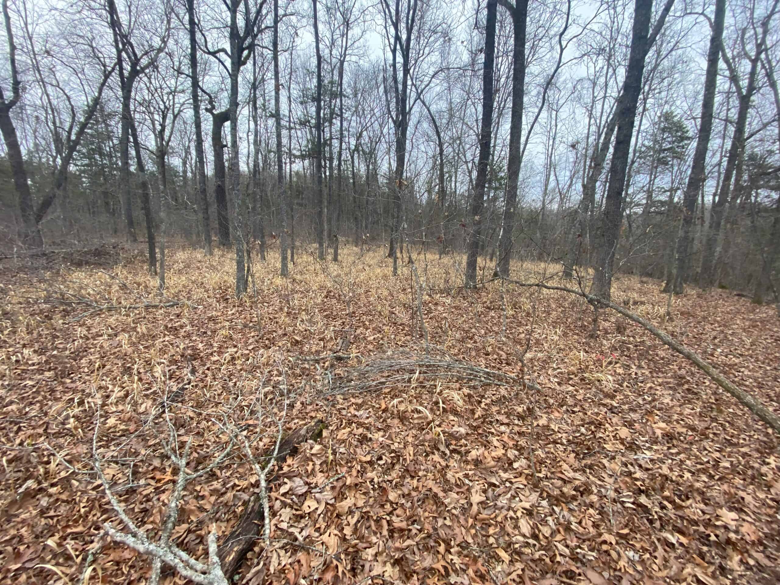 60 Acres Prime Newton Co, Ar Hunting Land For Sale Bordering Buffalo National River Park Land on 2 Sides!