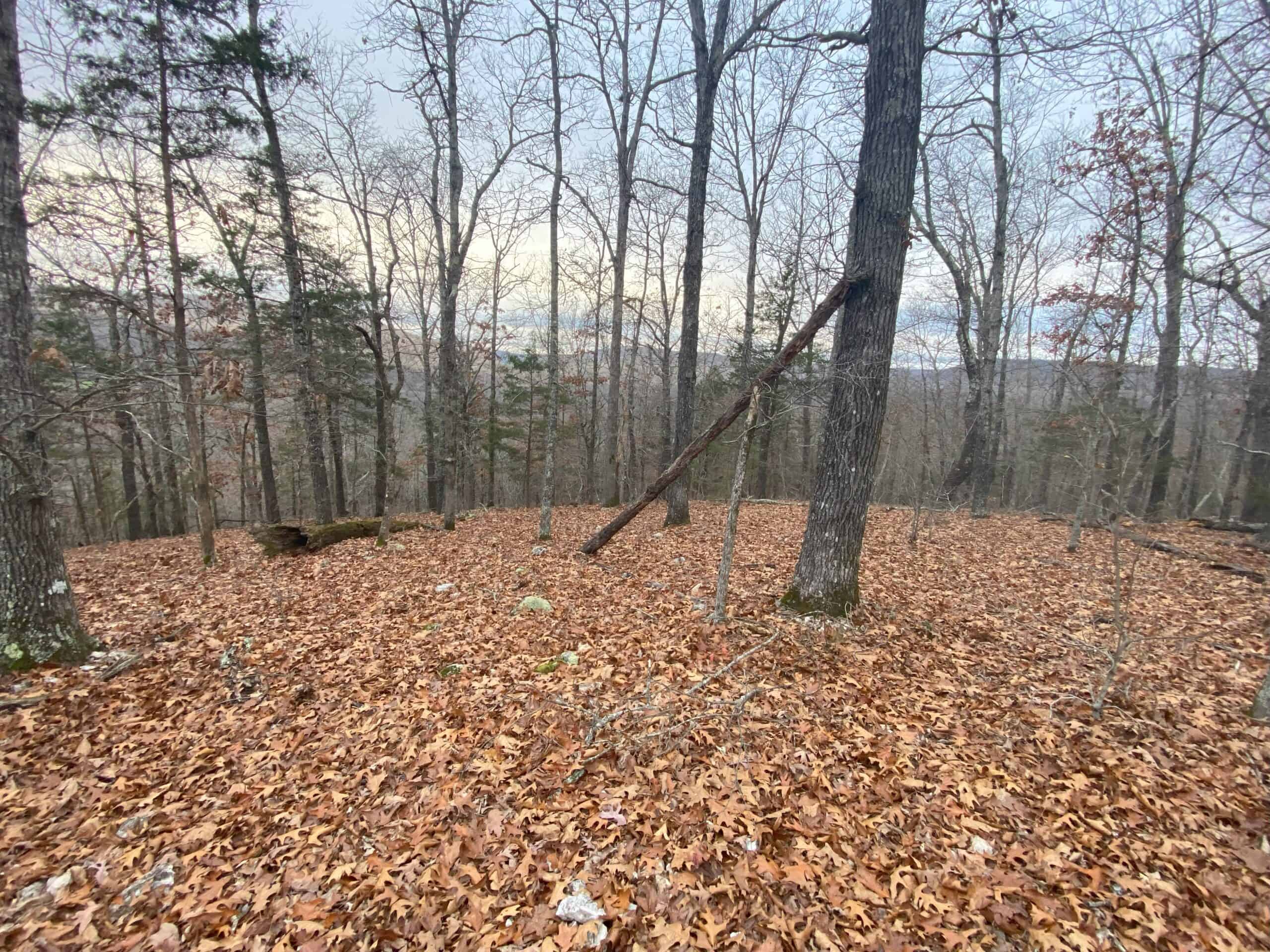 60 Acres Prime Newton Co, Ar Hunting Land For Sale Bordering Buffalo National River Park Land on 2 Sides!