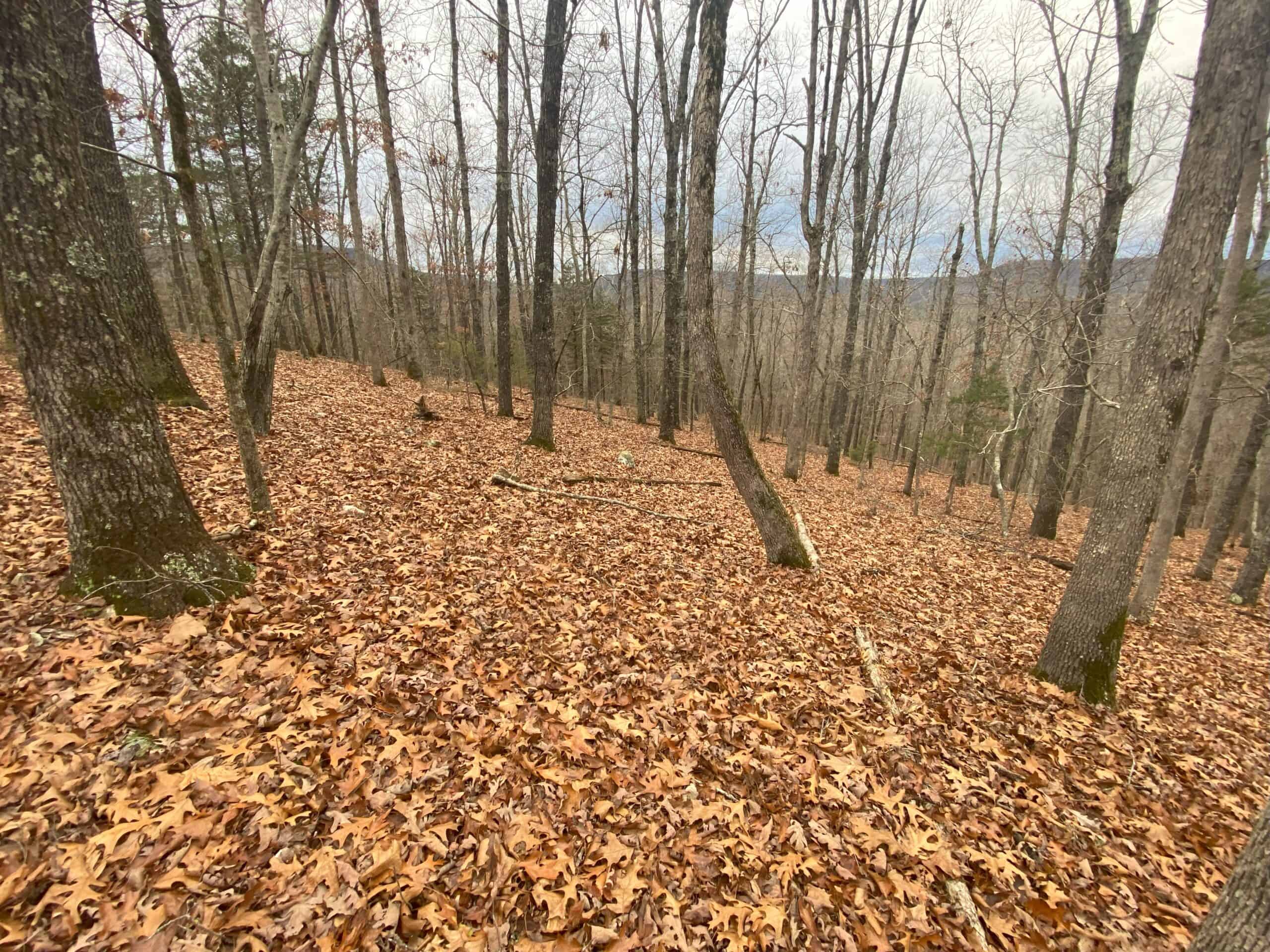 60 Acres Prime Newton Co, Ar Hunting Land For Sale Bordering Buffalo National River Park Land on 2 Sides!