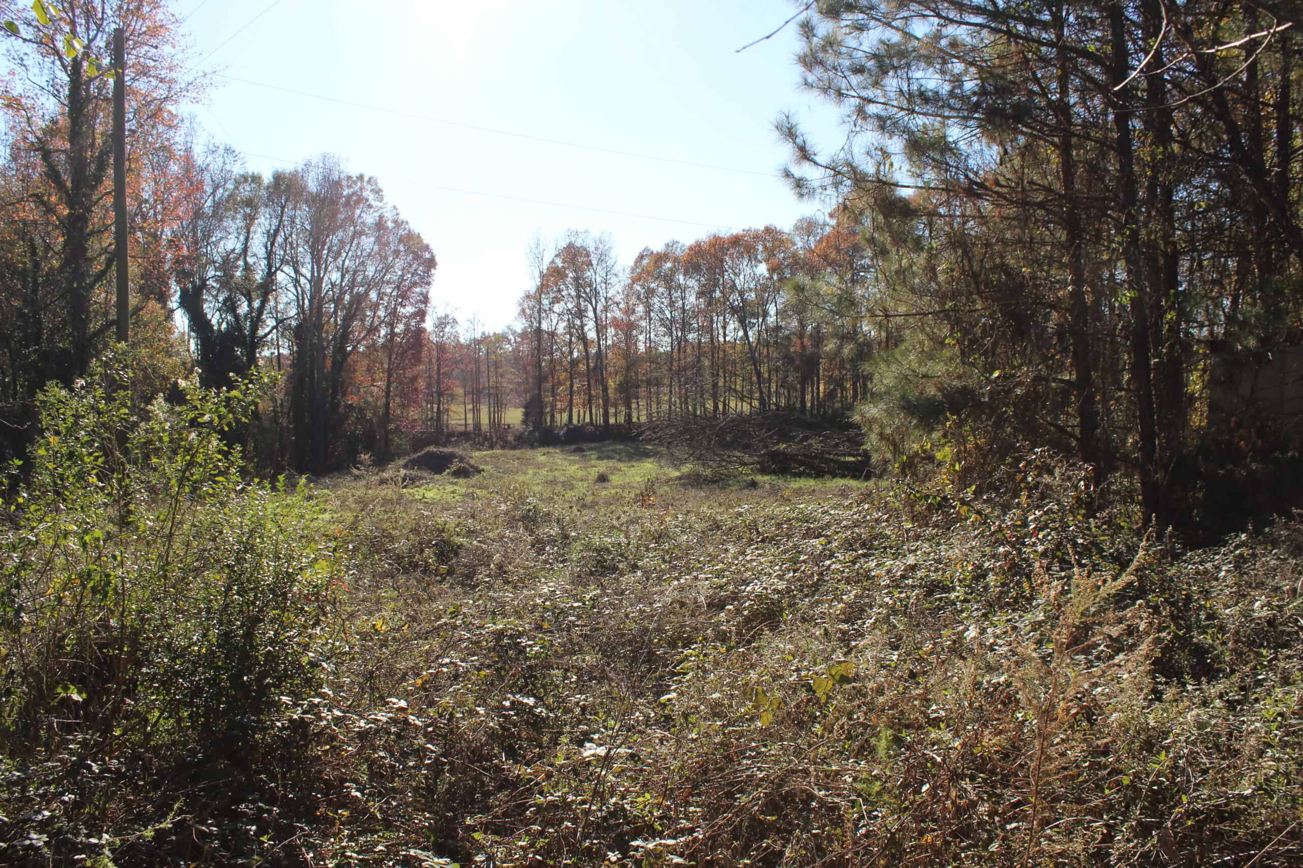 24 acres of beautiful hardwoods close to Lake Hartwell