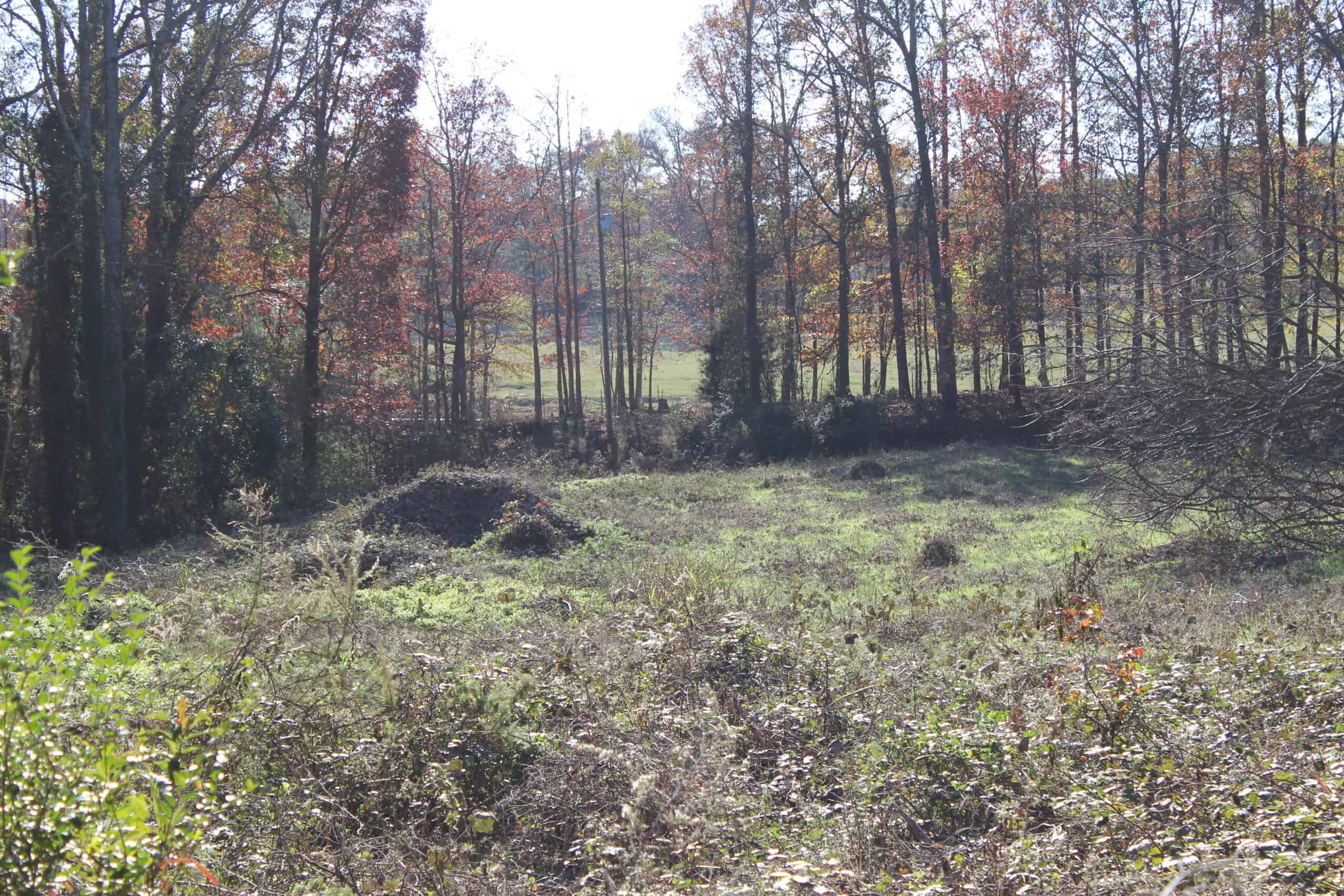 24 acres of beautiful hardwoods close to Lake Hartwell