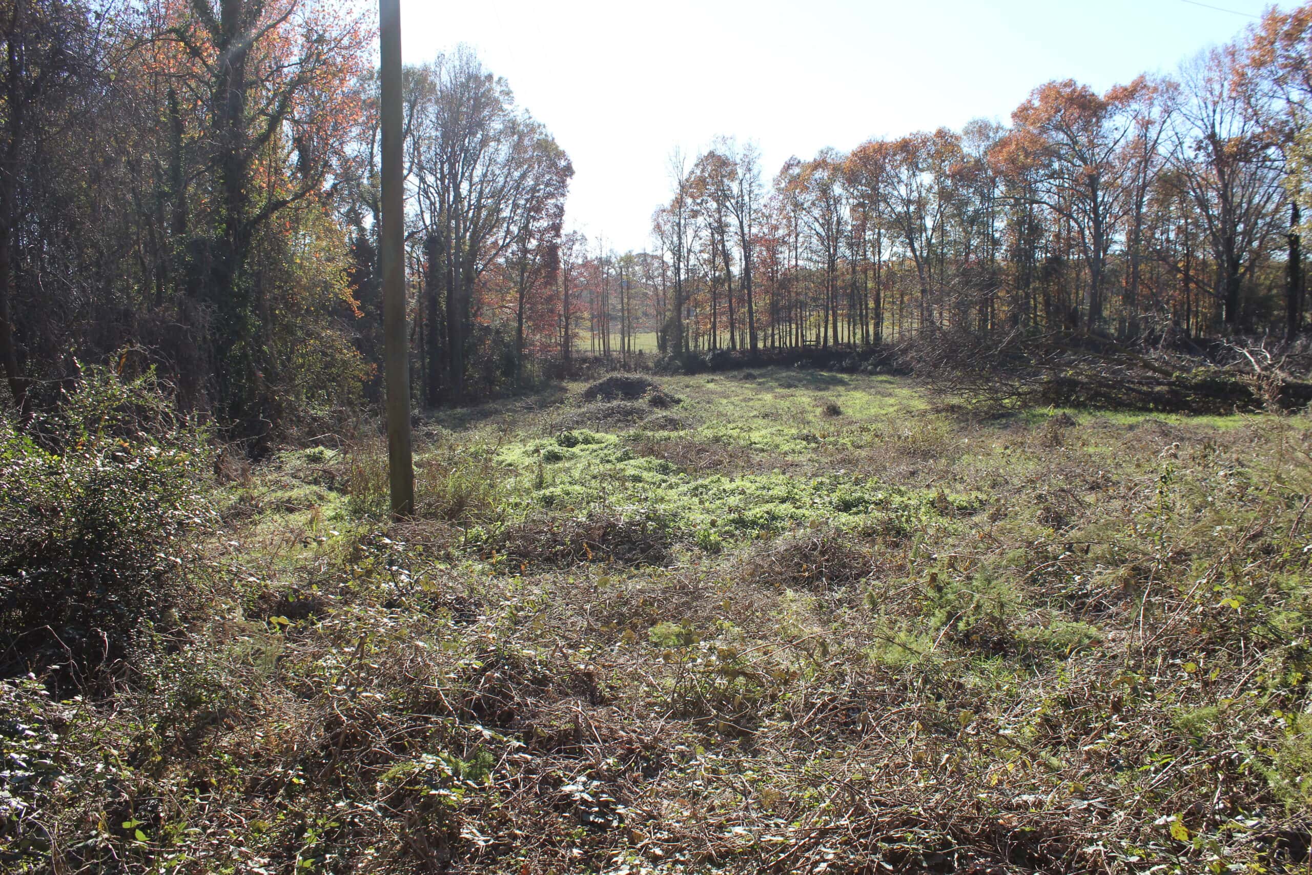 24 acres of beautiful hardwoods close to Lake Hartwell
