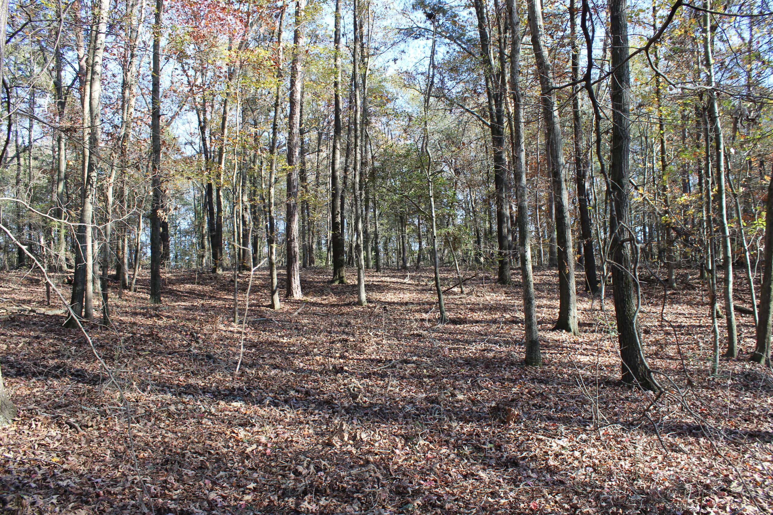 24 acres of beautiful hardwoods close to Lake Hartwell