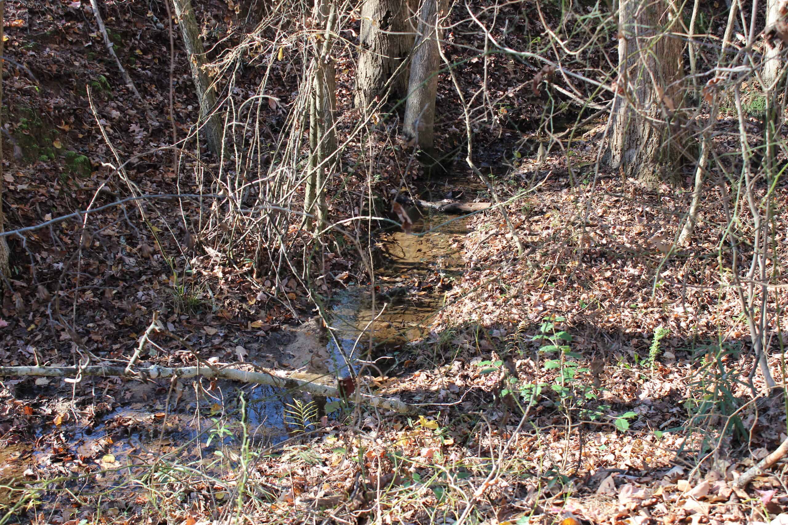 24 acres of beautiful hardwoods close to Lake Hartwell