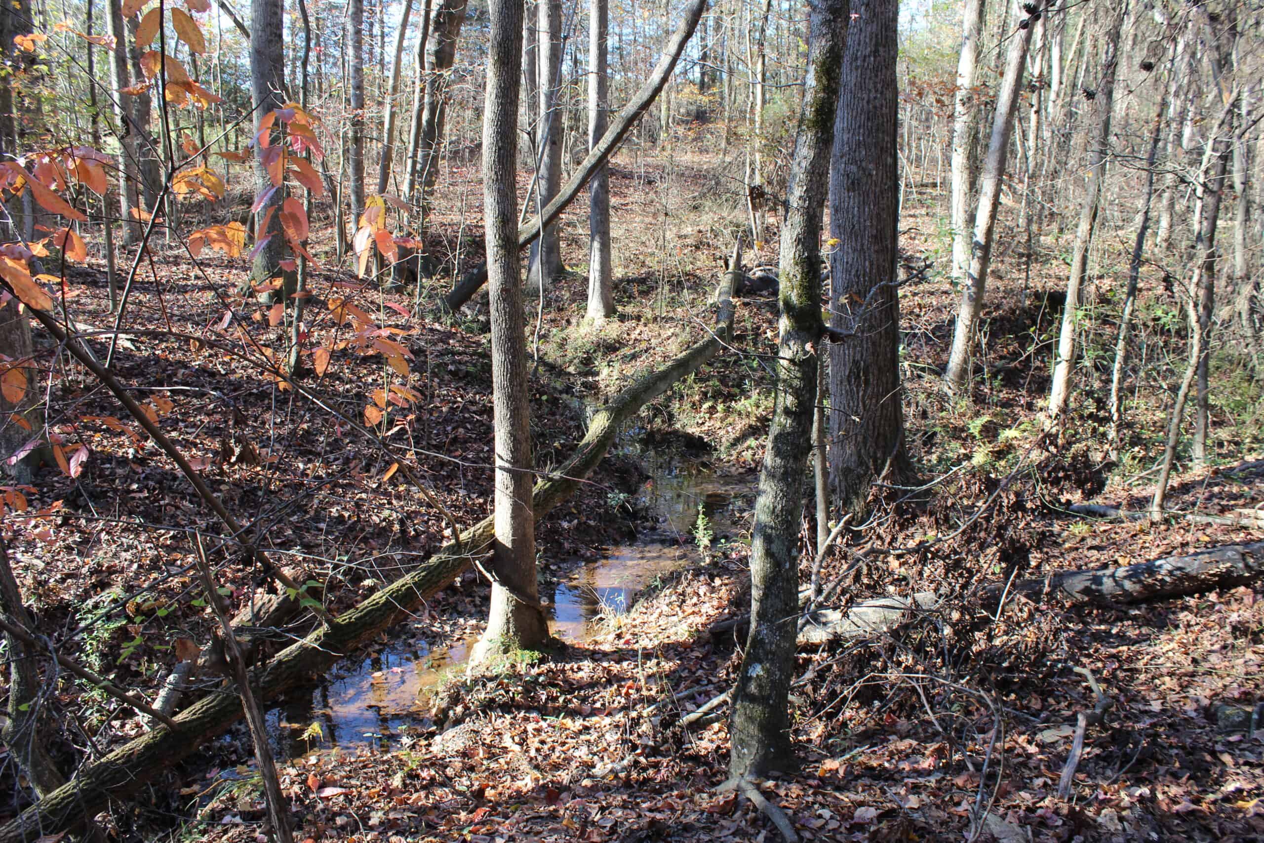 24 acres of beautiful hardwoods close to Lake Hartwell
