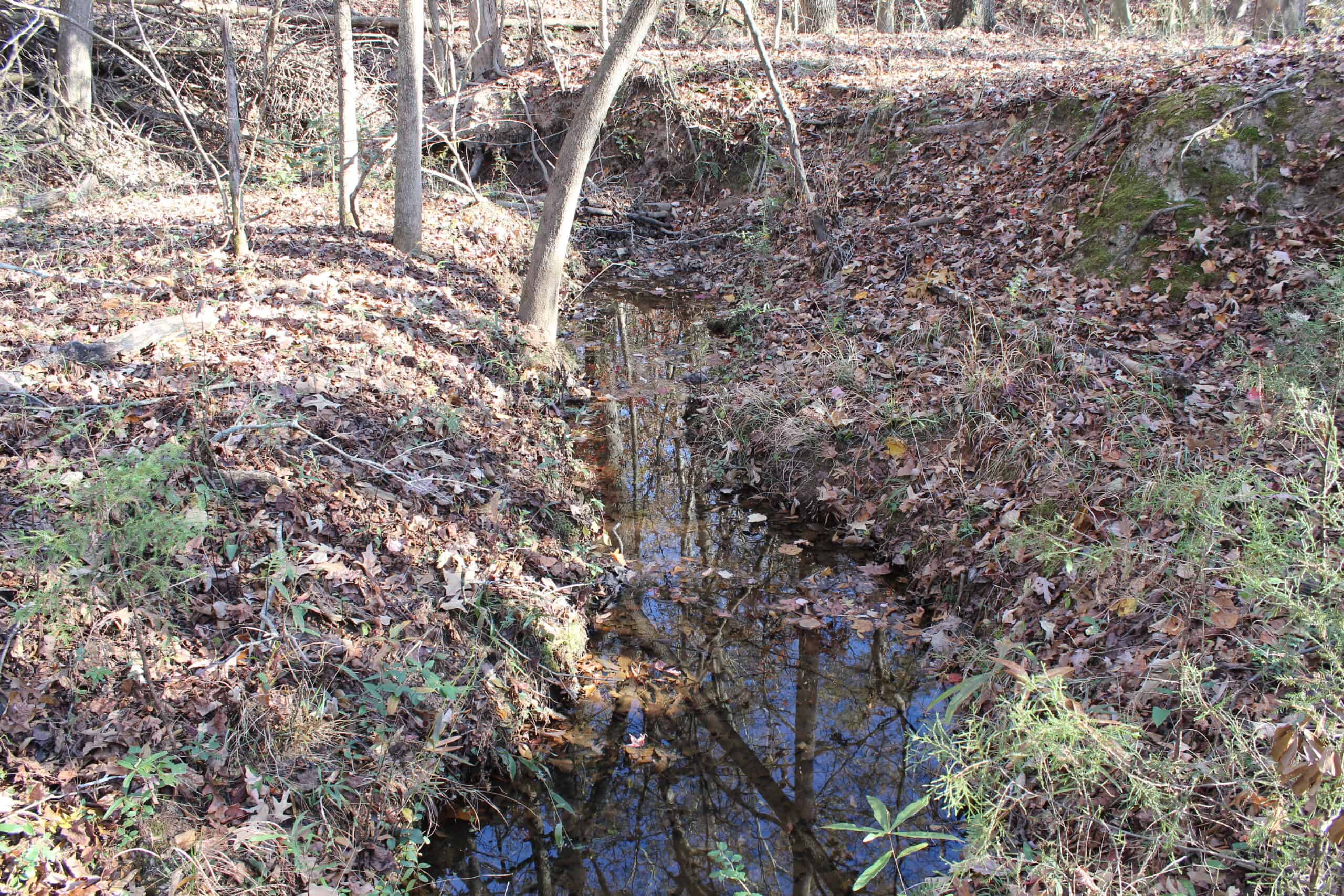 24 acres of beautiful hardwoods close to Lake Hartwell