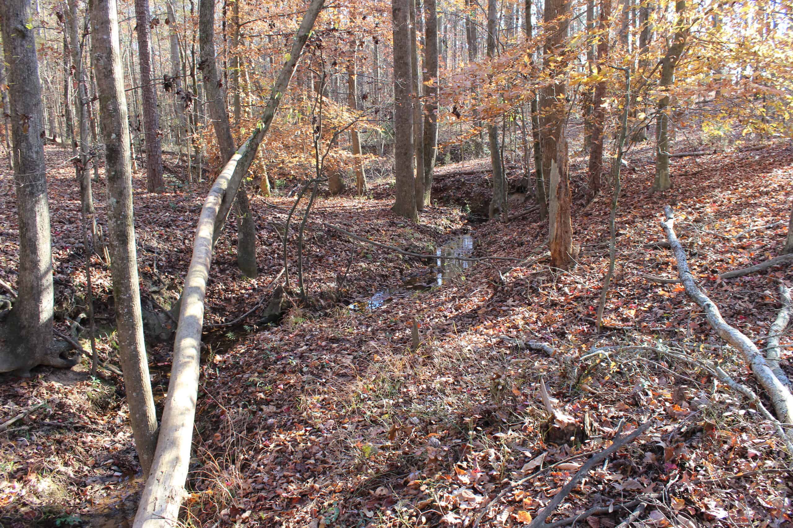 24 acres of beautiful hardwoods close to Lake Hartwell