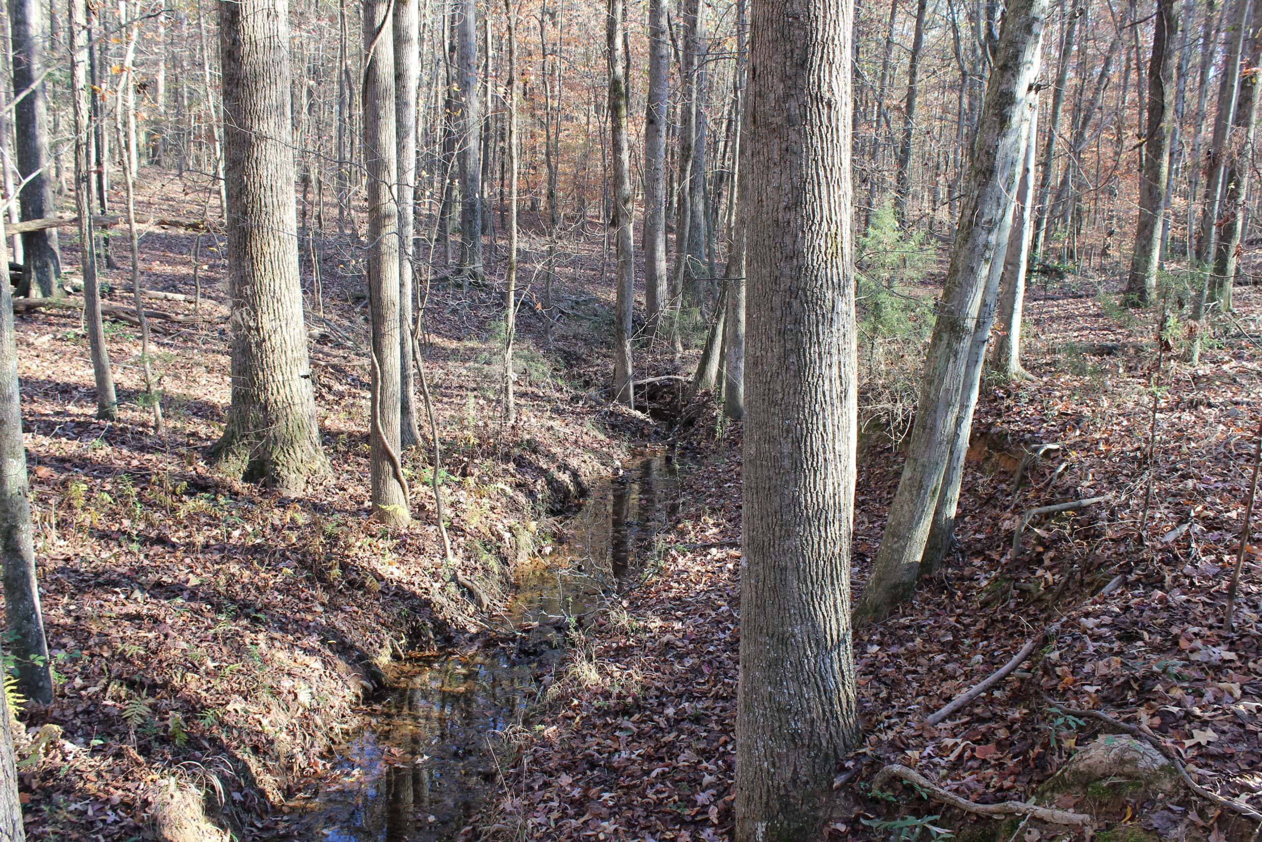 24 acres of beautiful hardwoods close to Lake Hartwell