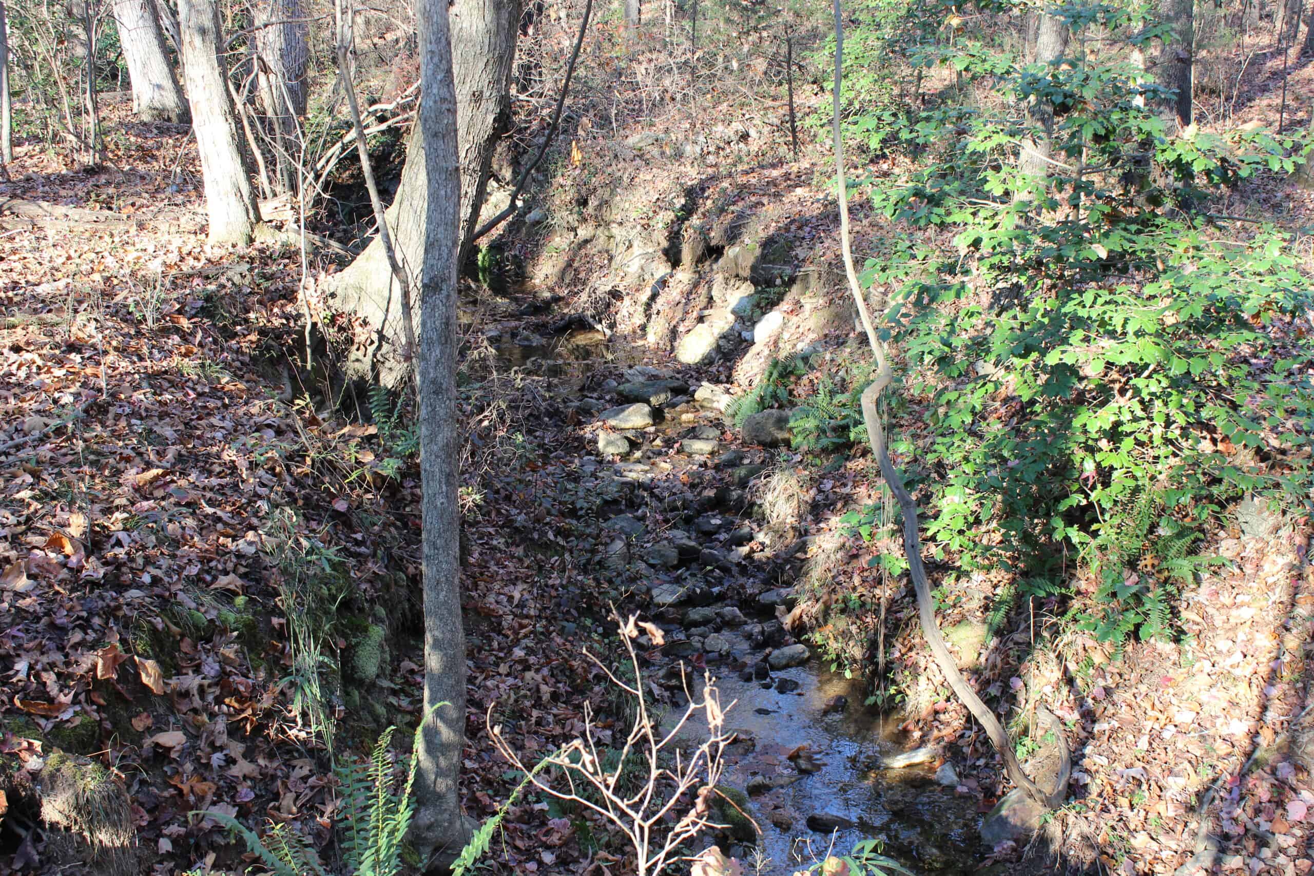 24 acres of beautiful hardwoods close to Lake Hartwell
