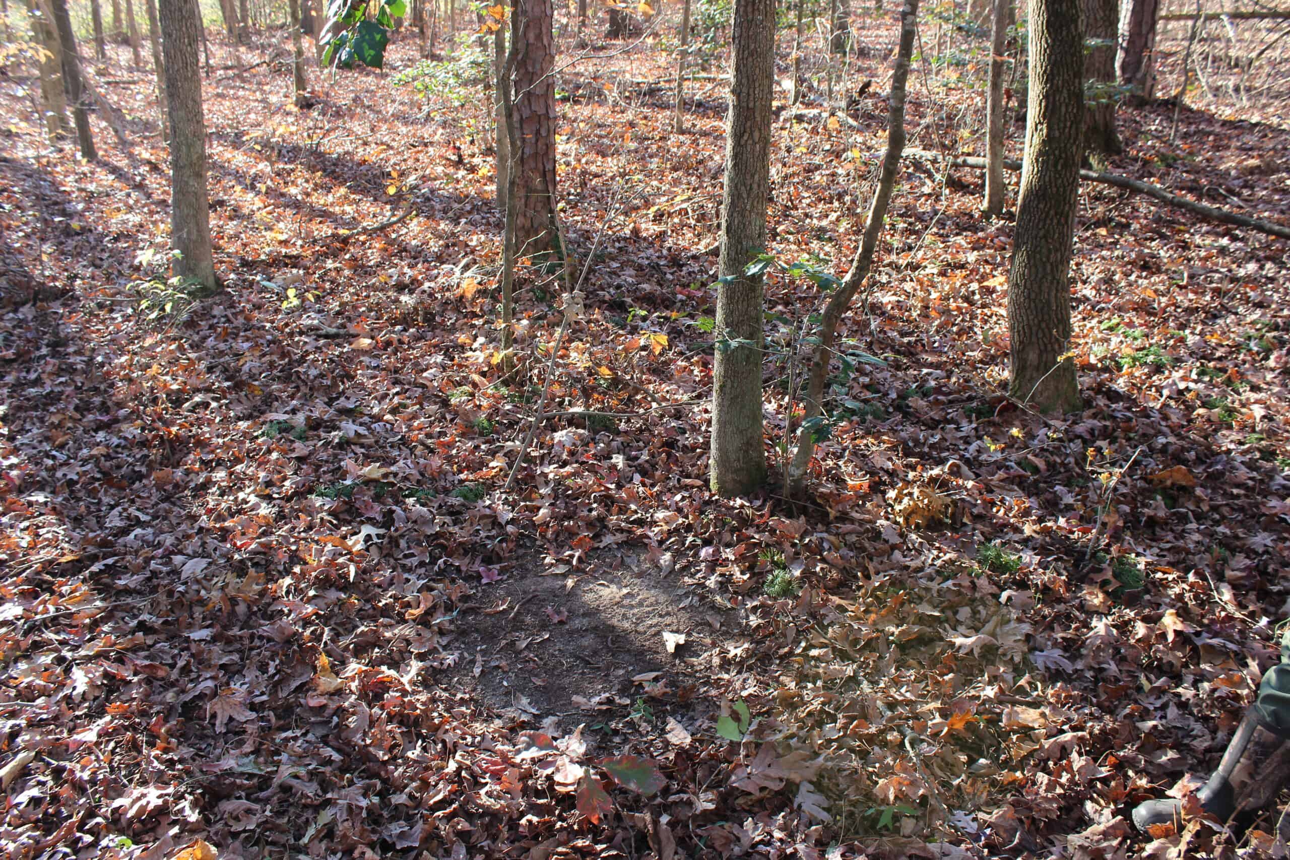 24 acres of beautiful hardwoods close to Lake Hartwell